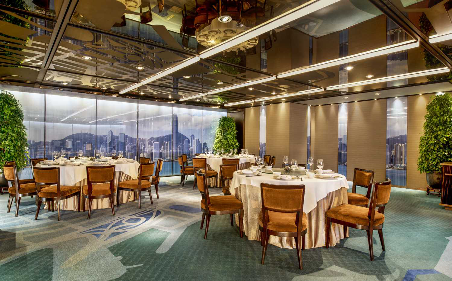 Sing Yin Cantonese Dining - Main Dining Room.png