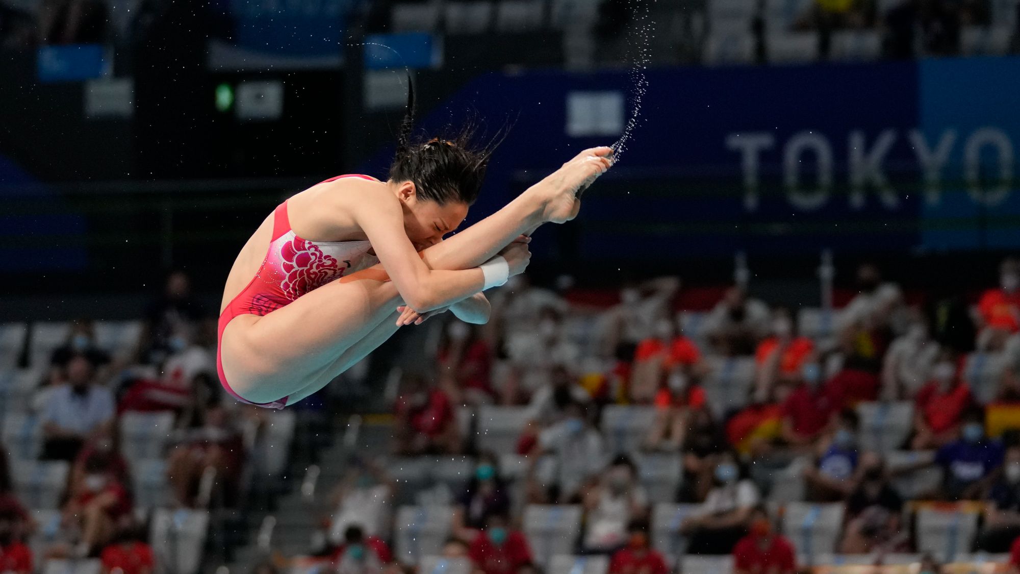 F6106640d0cf2292056fe0db5 (1).jpg