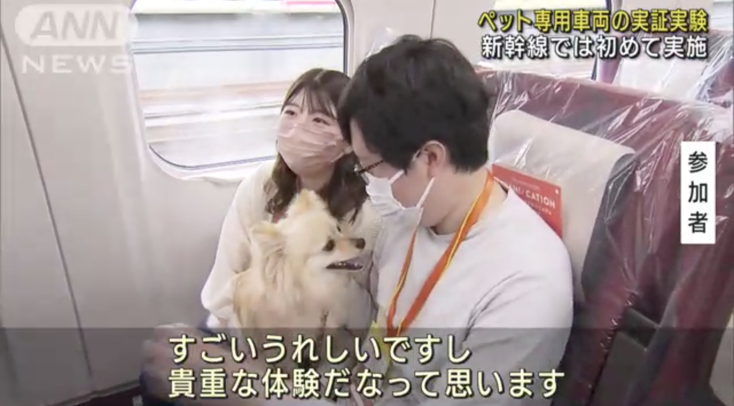 世界趣聞 日本新幹線首試 寵物列車 狗狗走出籠外看風景 生活 橙新聞