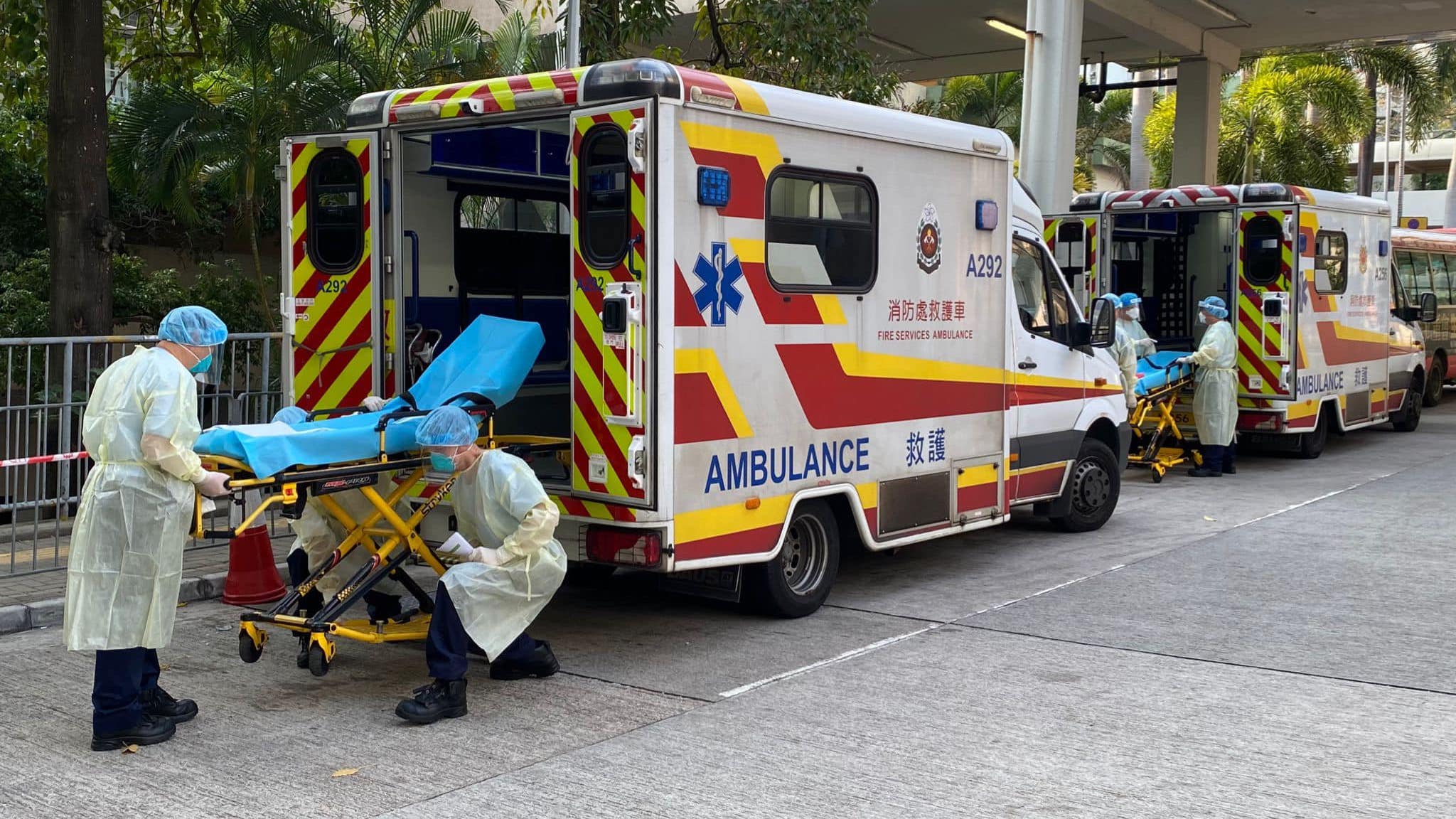 02161149miy4.jpeg 02161149miy4.jpeg