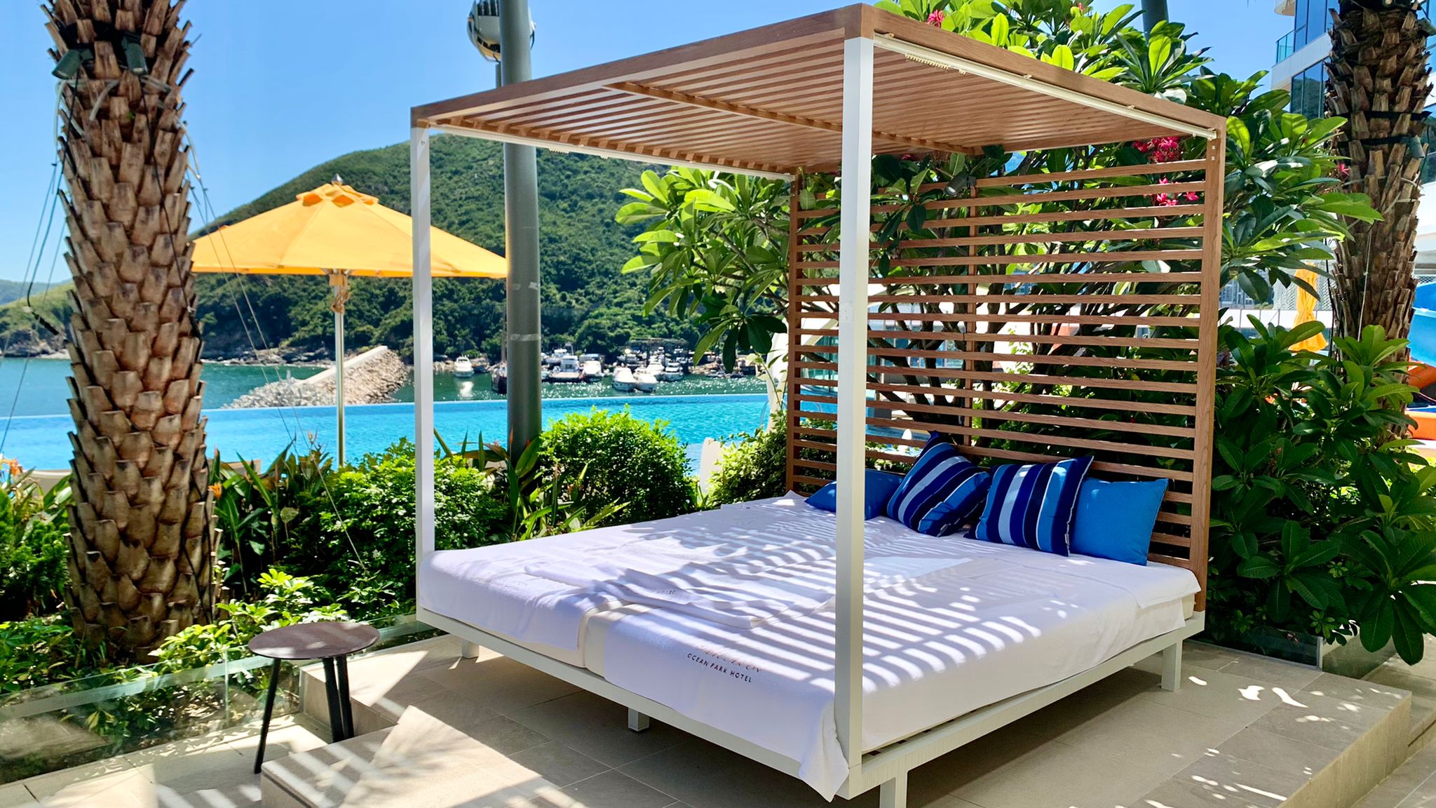 WhatsApp Image 2022-07-13 at 12.38.59 AM.jpeg