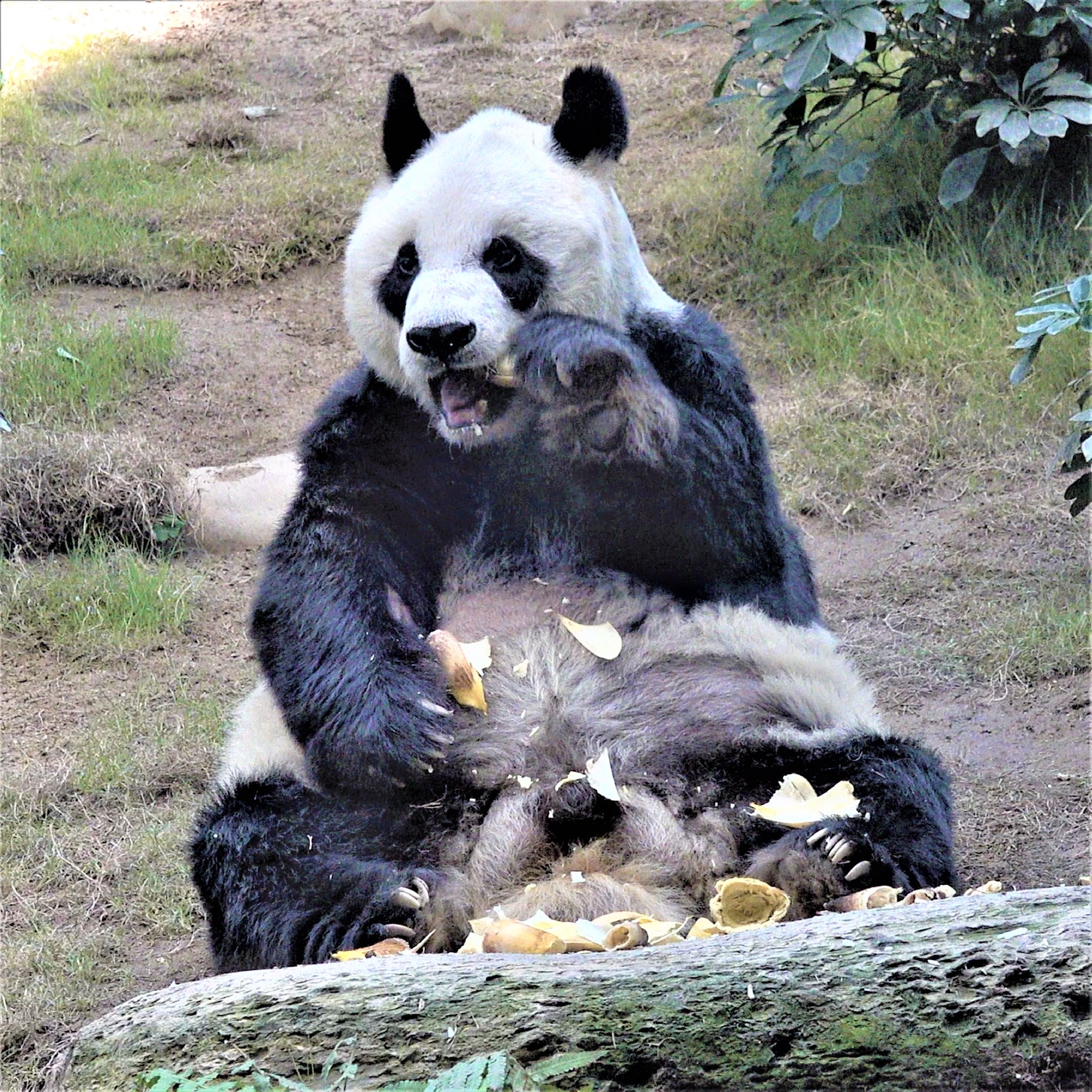 259761623_10159464810641390_4614136693199663525_n.jpg 259761623_10159464810641390_4614136693199663525_n.jpg