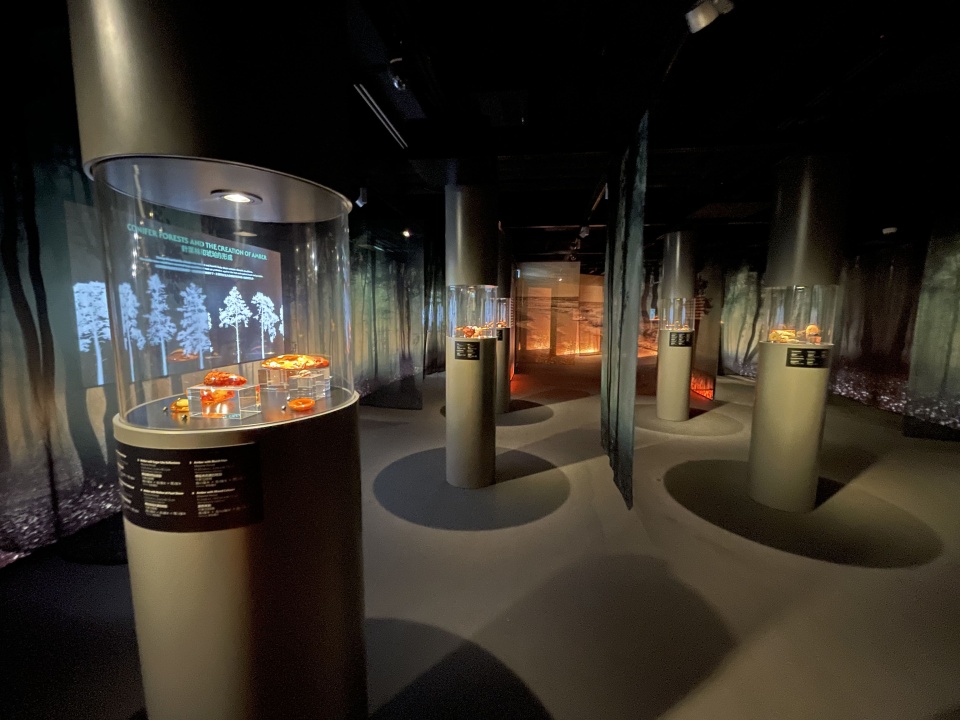 城大新展覽「琥珀：波羅的海黃金」-展示跨越地域時空的240件琥珀珍品