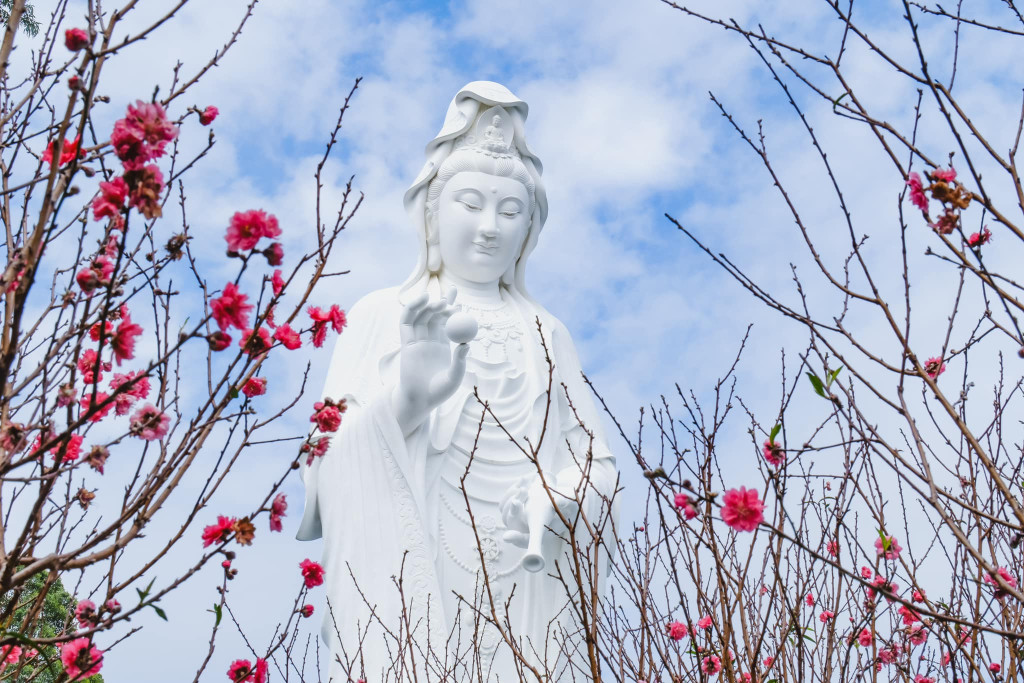 sdvsdvsdv.jpg sdvsdvsdv.jpg