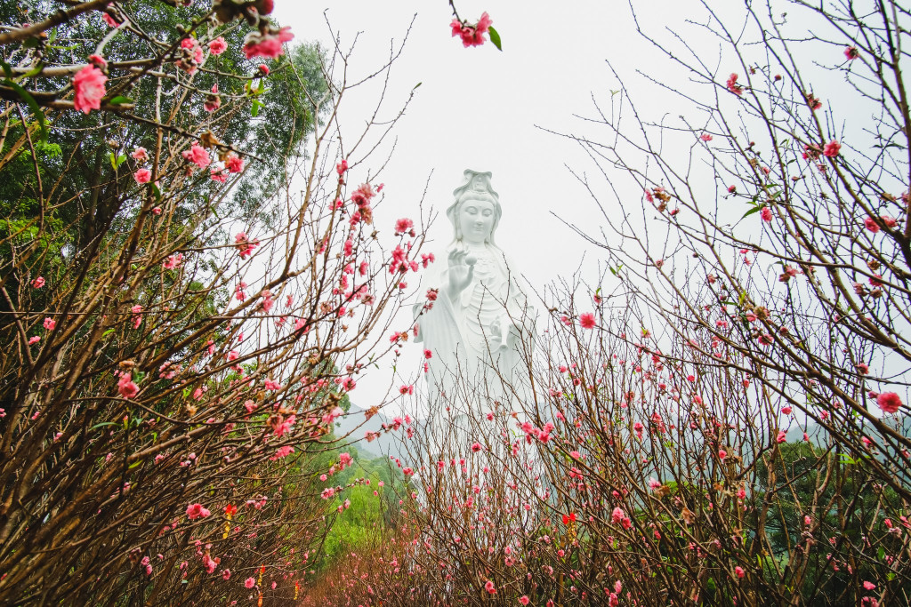 csacasc.jpg csacasc.jpg