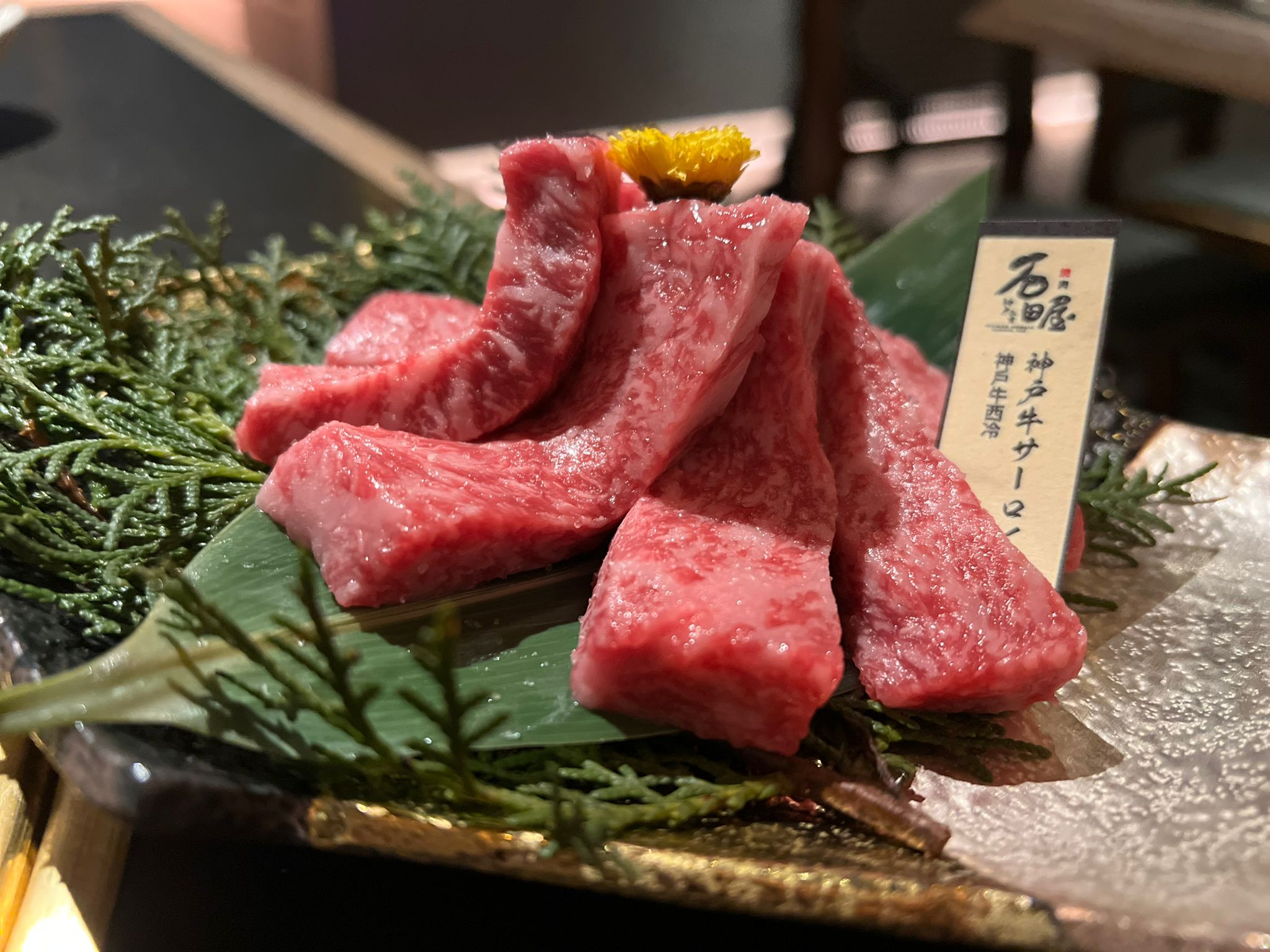 WhatsApp Image 2023-03-06 at 4.44.41 PM.jpeg