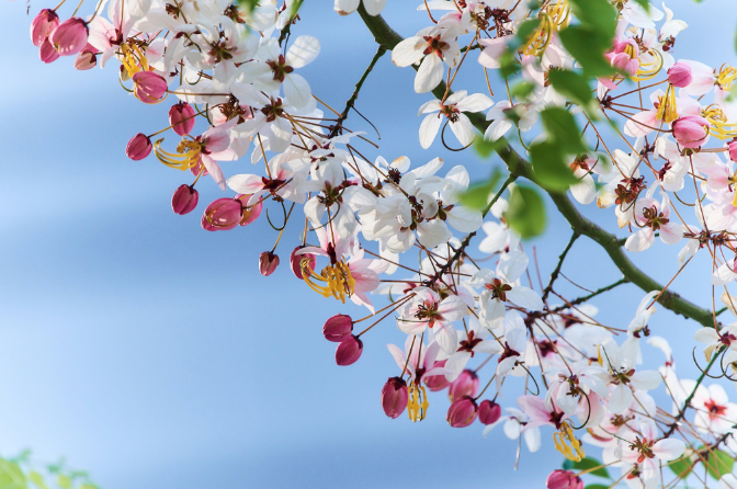 螢幕截圖 2023-04-20 下午12.17.23.png