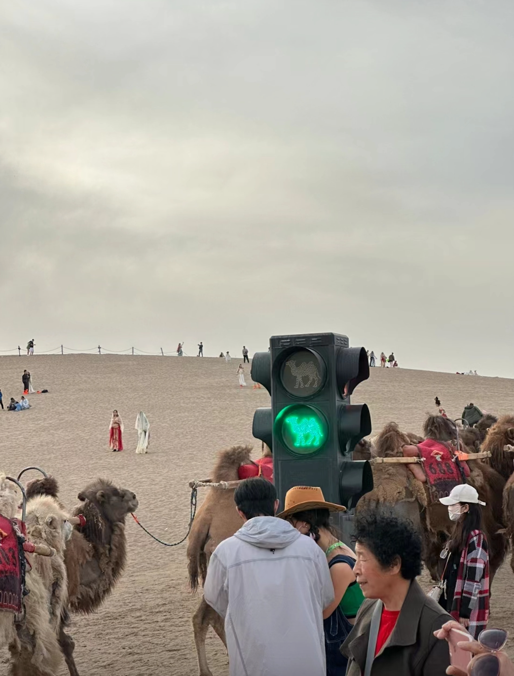 螢幕截圖 2023-05-04 上午11.35.51.png