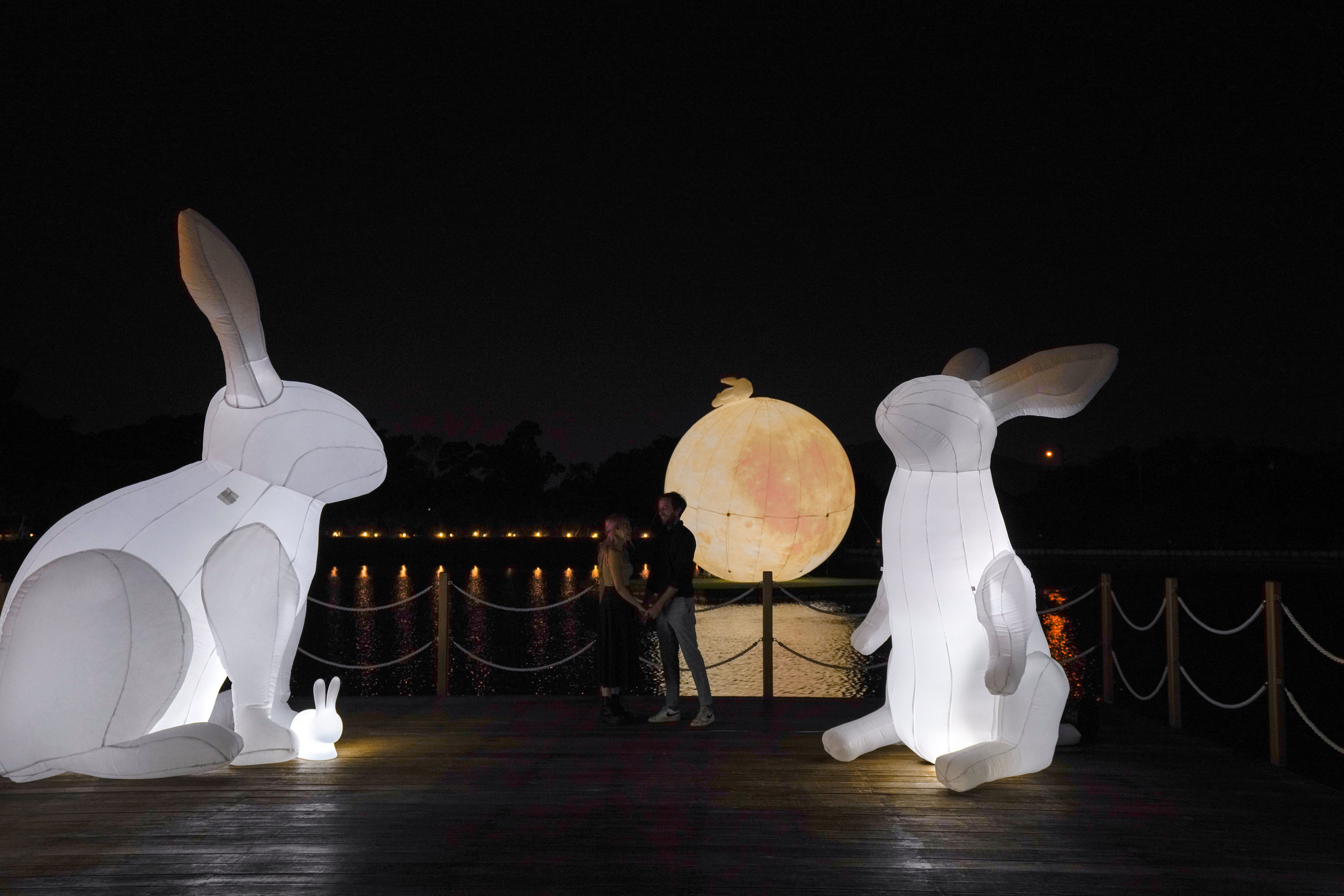 _DSC8350 (1) (1).jpg