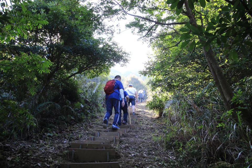 嘉道理再辦-再森林-還原野-慈善行籌款活動-即日起接受報名