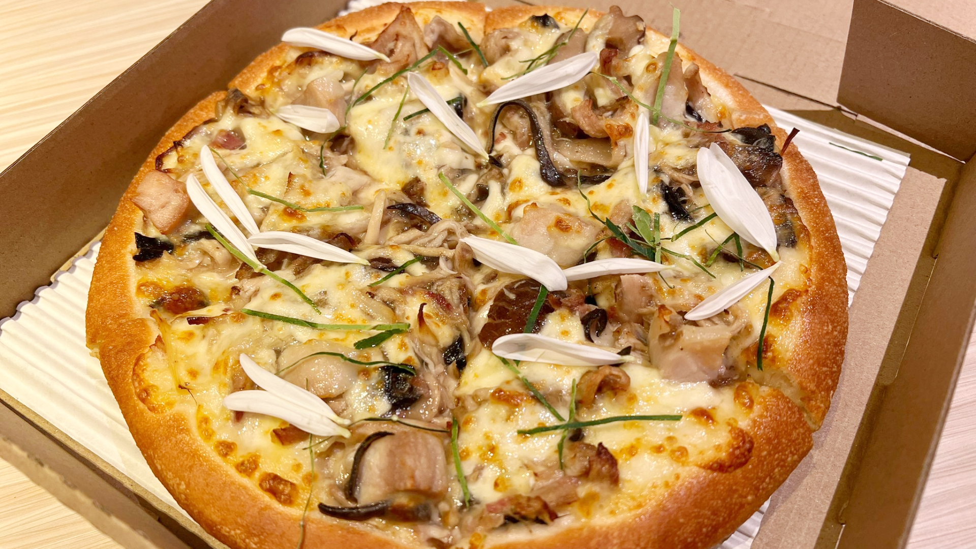 FotoJet - 2023-11-03T145115.561.jpg