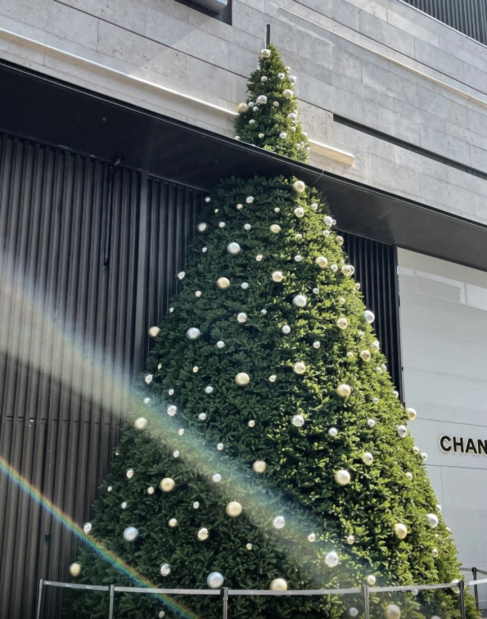 深圳聖誕好去處2023-3間深圳聖誕唯美打卡點--巨大聖誕樹-冰川感cafe-法式田園風小店