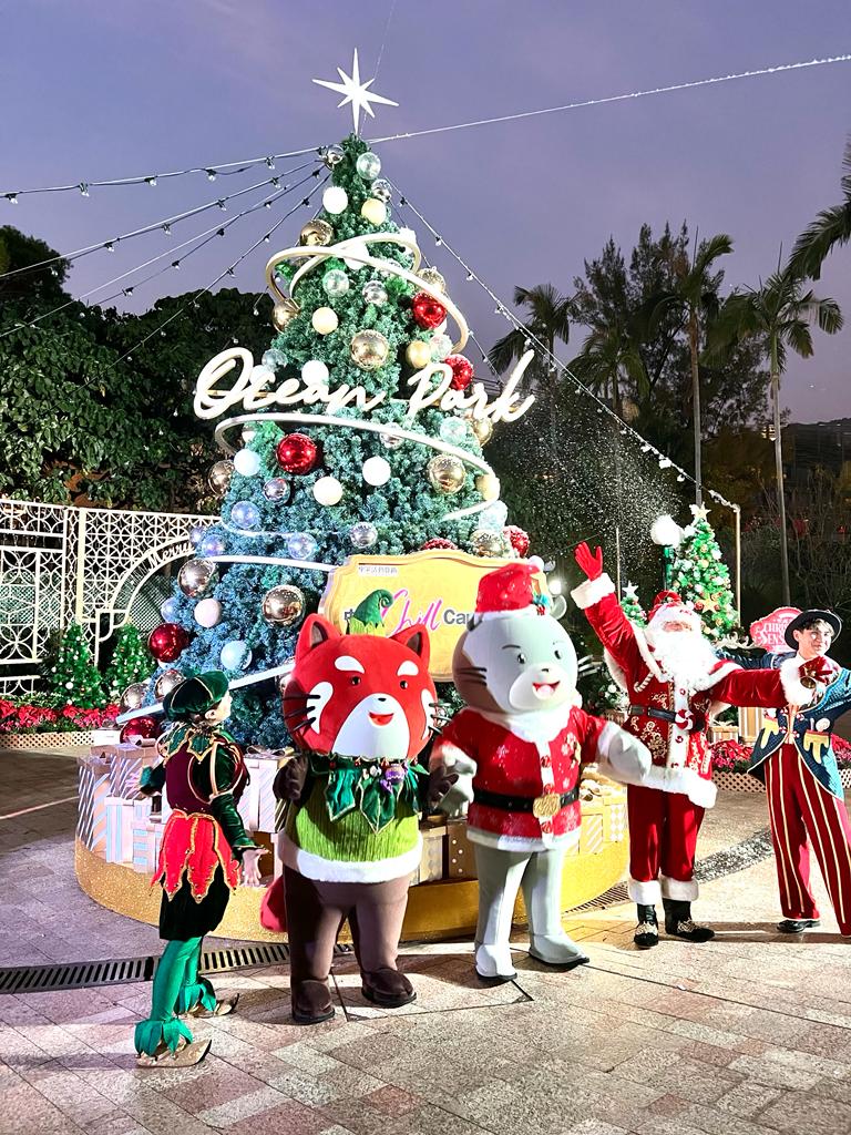 WhatsApp Image 2023-12-08 at 2.22.48 PM.jpeg