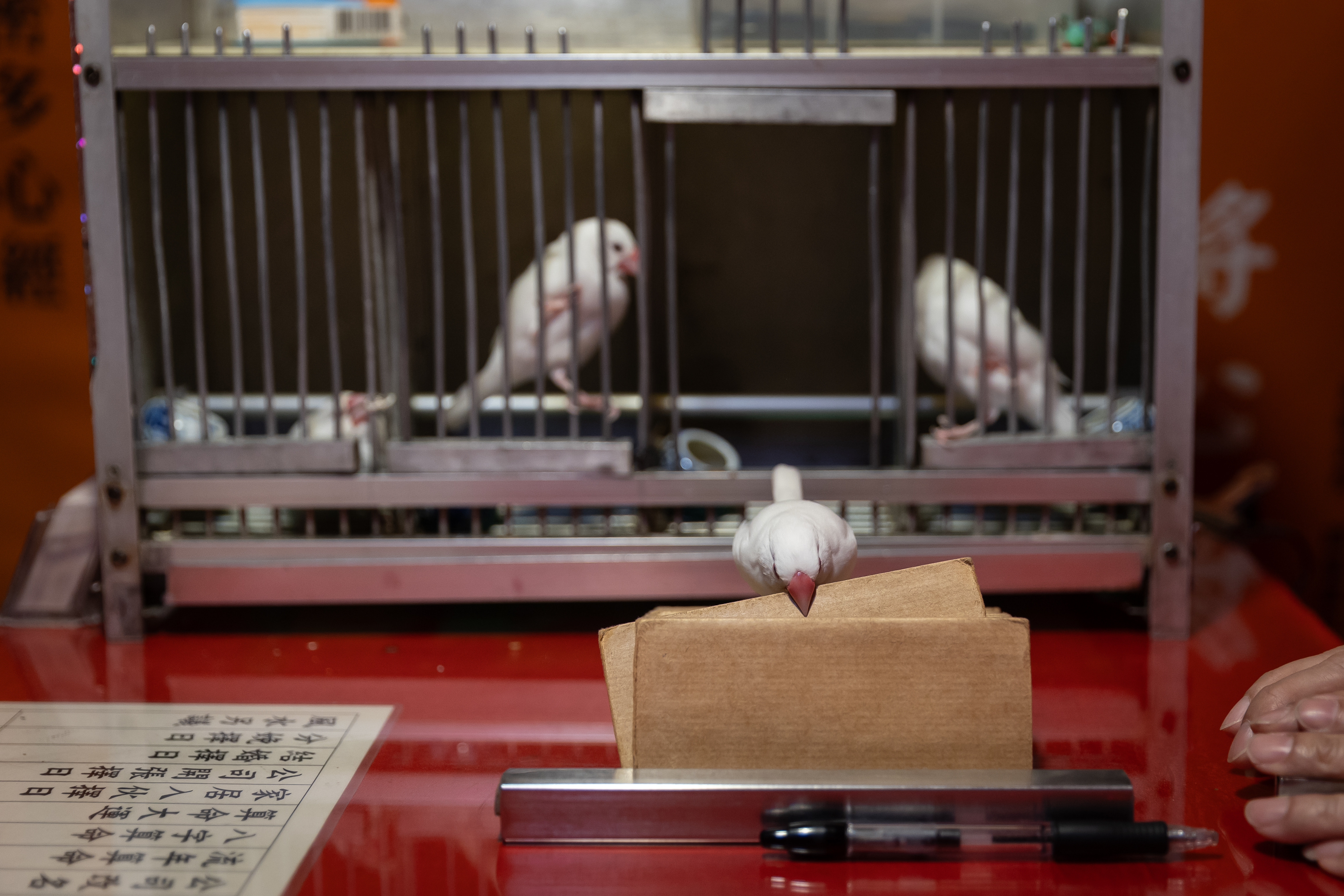 XHS Tour_6.jpg XHS Tour_6.jpg