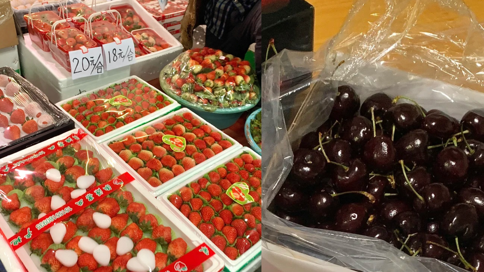 FotoJet - 2024-01-31T161821.838.jpg