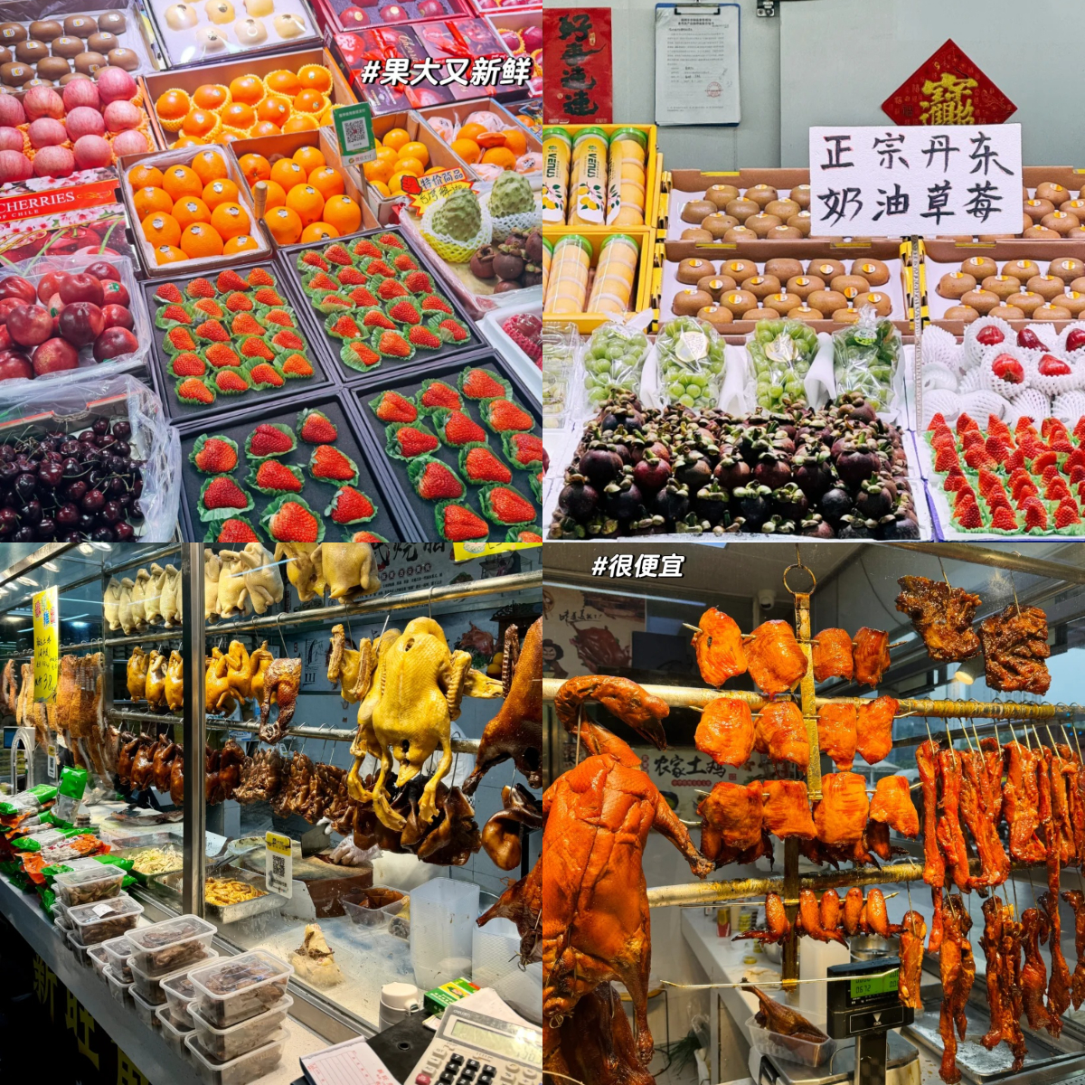 FotoJet - 2024-01-31T162827.738.jpg