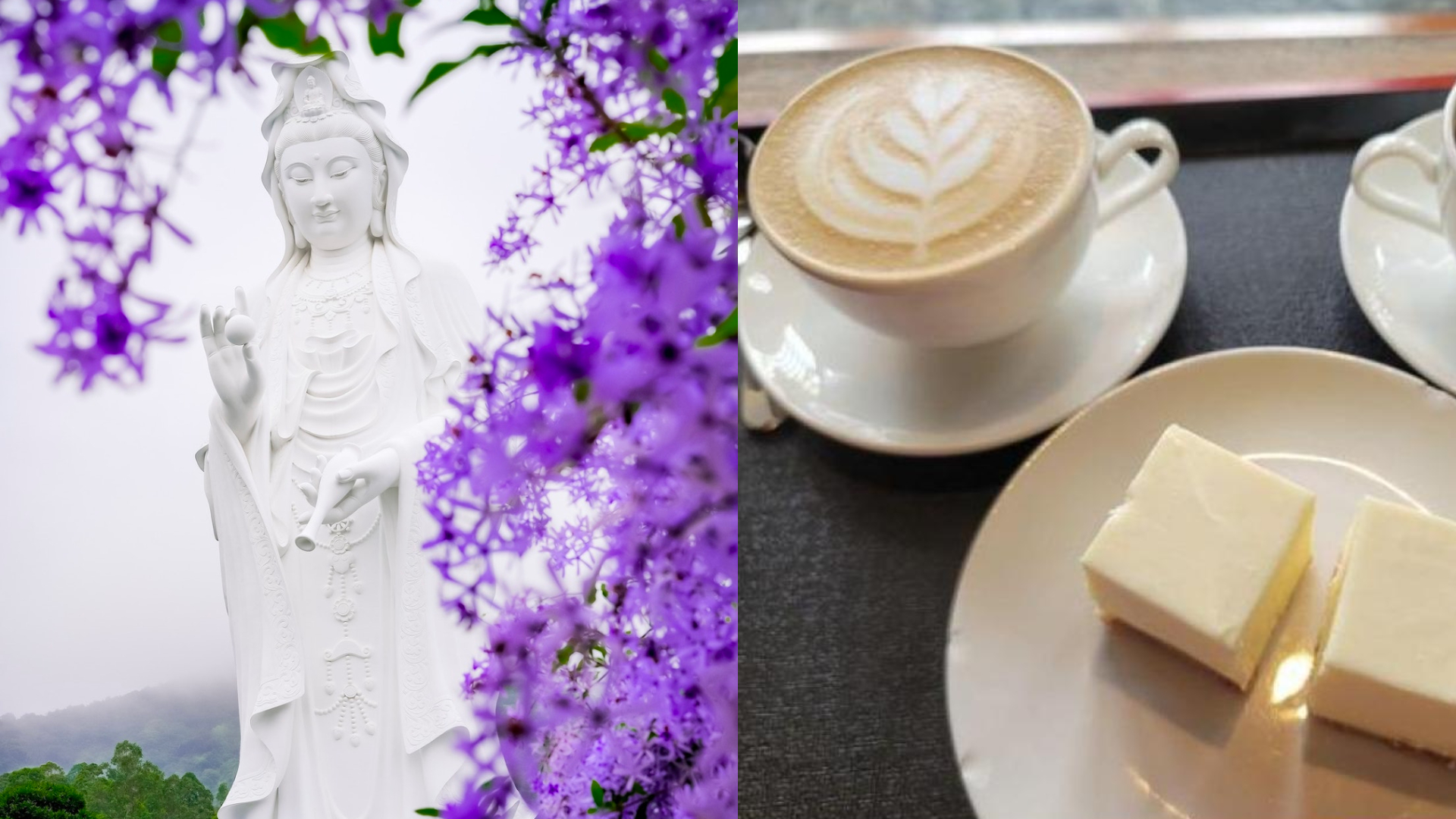 FotoJet - 2024-02-01T155444.287.jpg FotoJet - 2024-02-01T155444.287.jpg