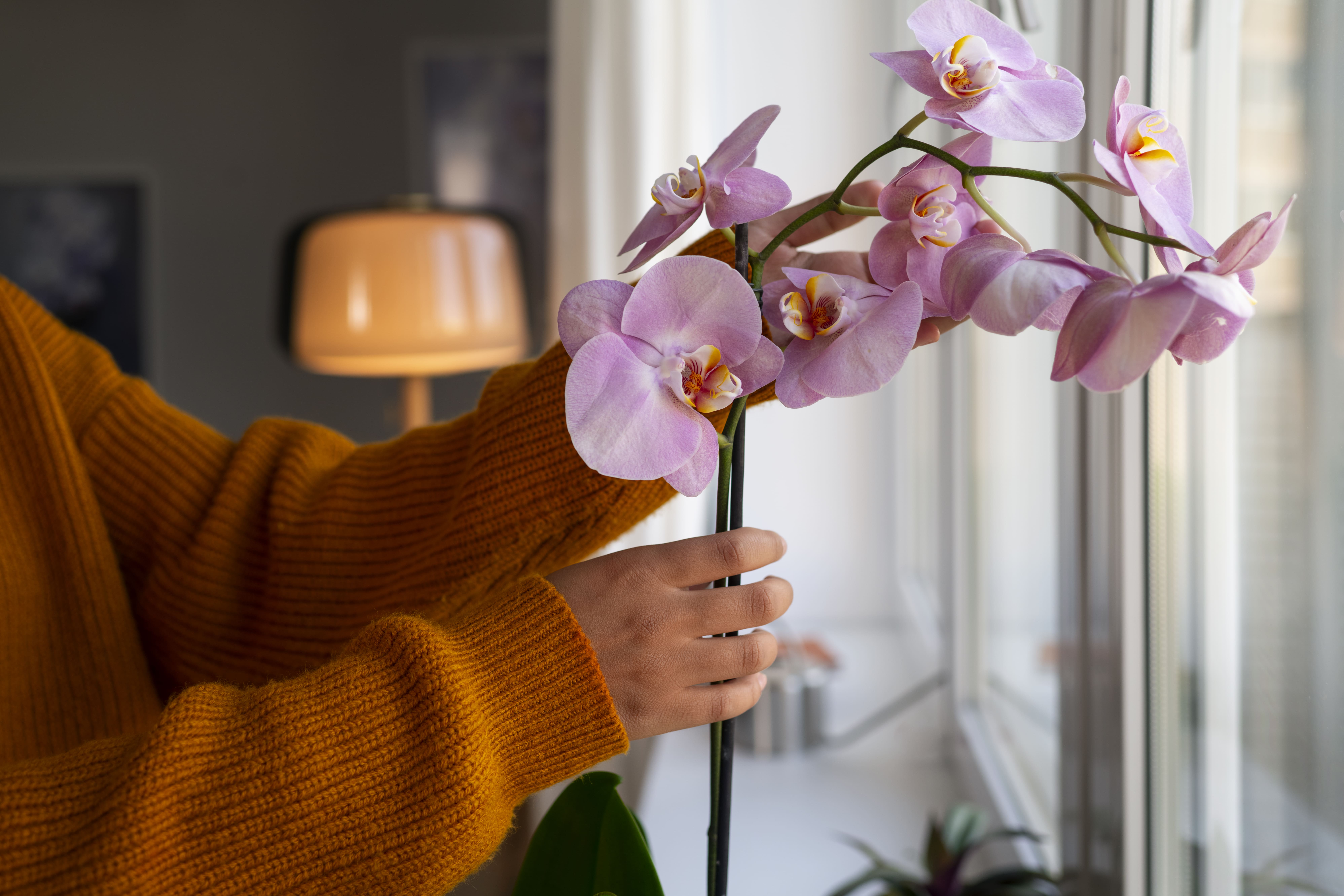 woman-decorating-her-home-with-orchids (1).jpg