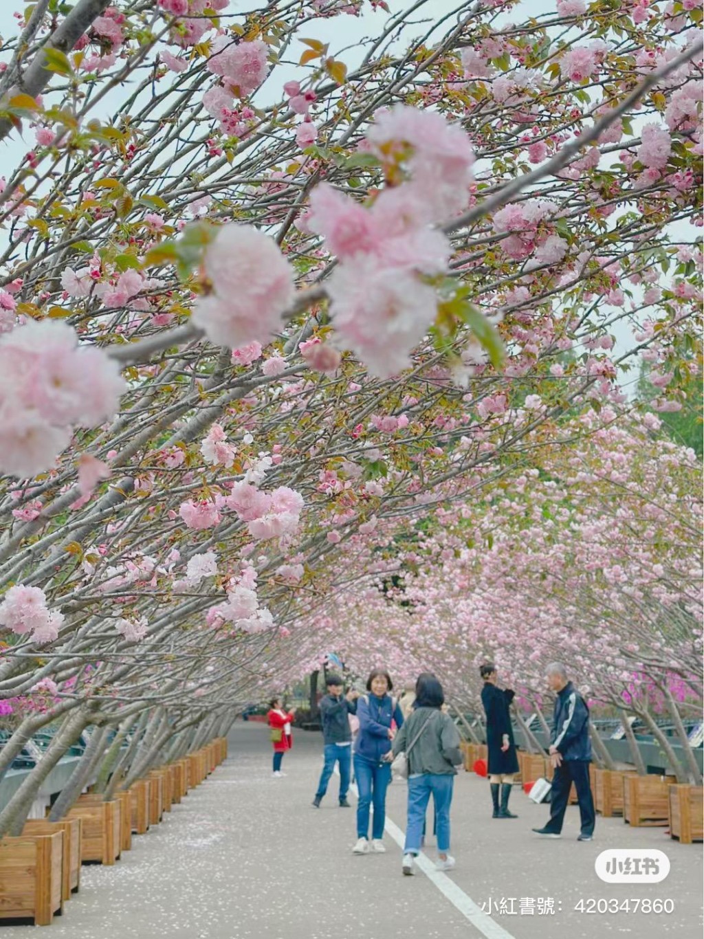 wegwgw.jpeg wegwgw.jpeg