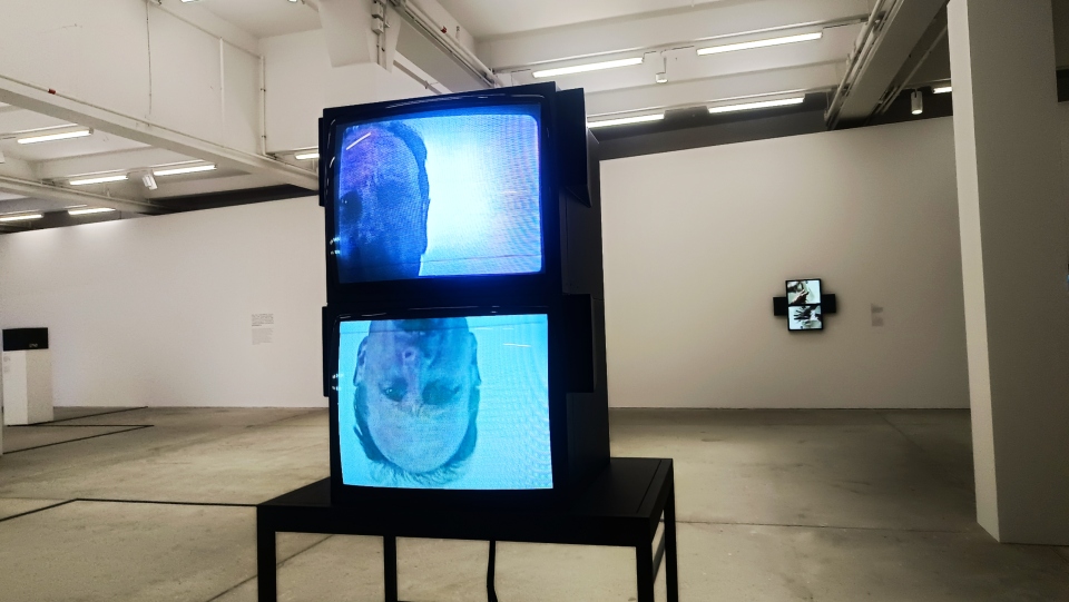 看展覽-大館呈獻大型展覽-布魯斯--瑙曼--用身體拆解視覺與語言
