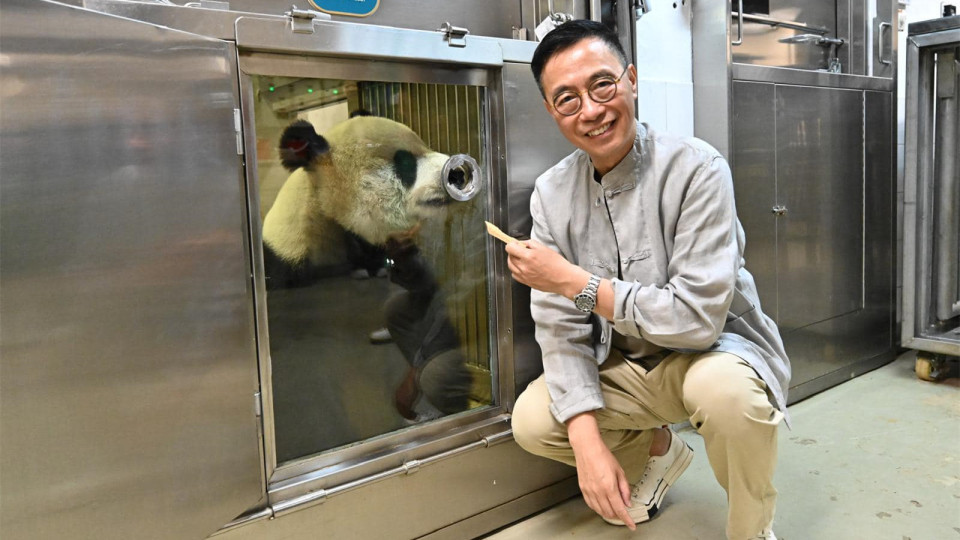 楊潤雄-中央贈送大熊貓顯示對香港厚愛-將為旅遊業注入動力