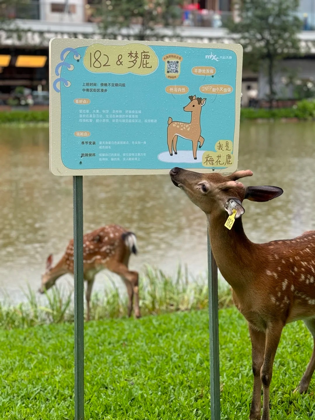 GRREWG.jpg GRREWG.jpg