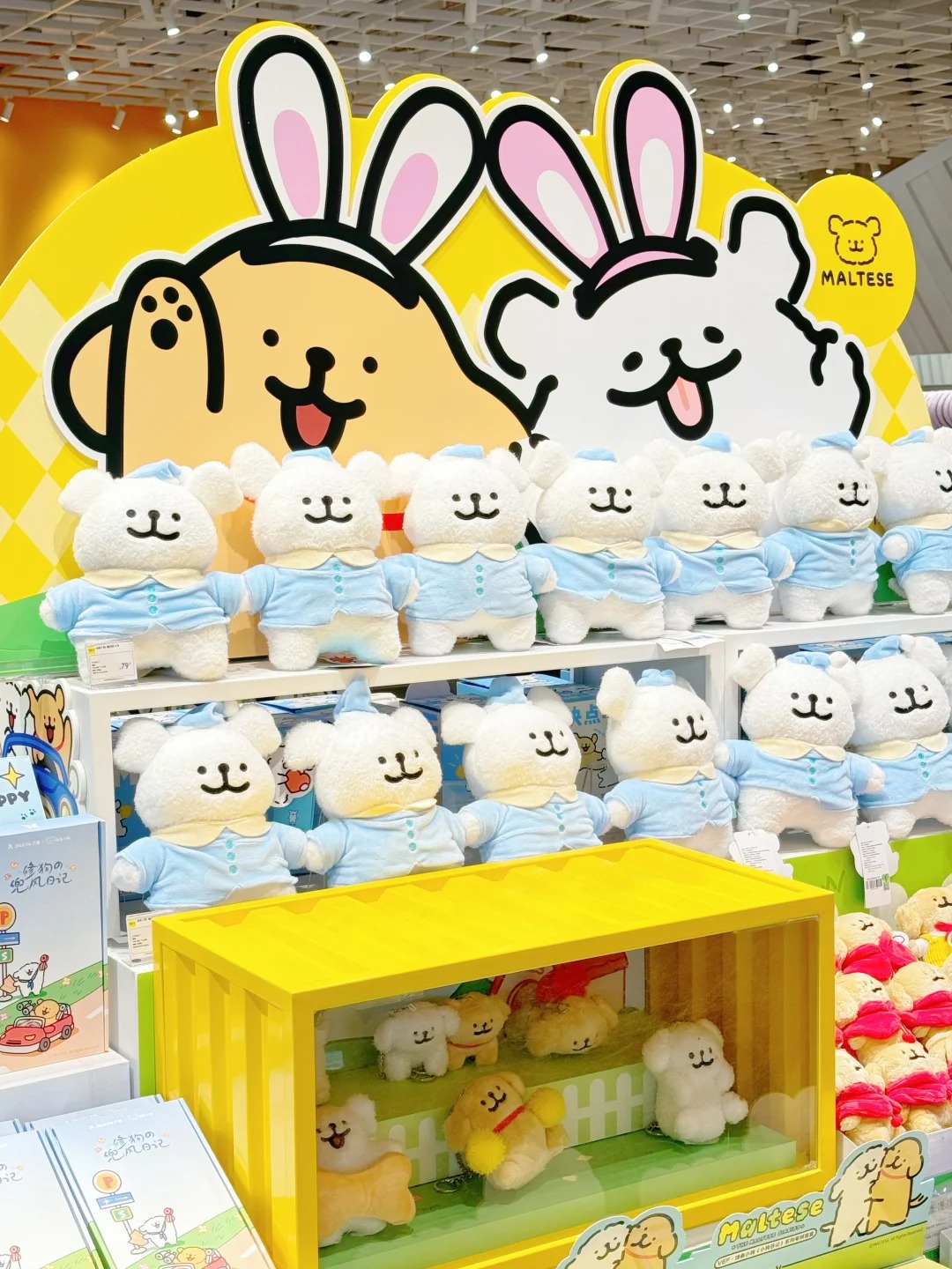 DGASHTE.jpg DGASHTE.jpg