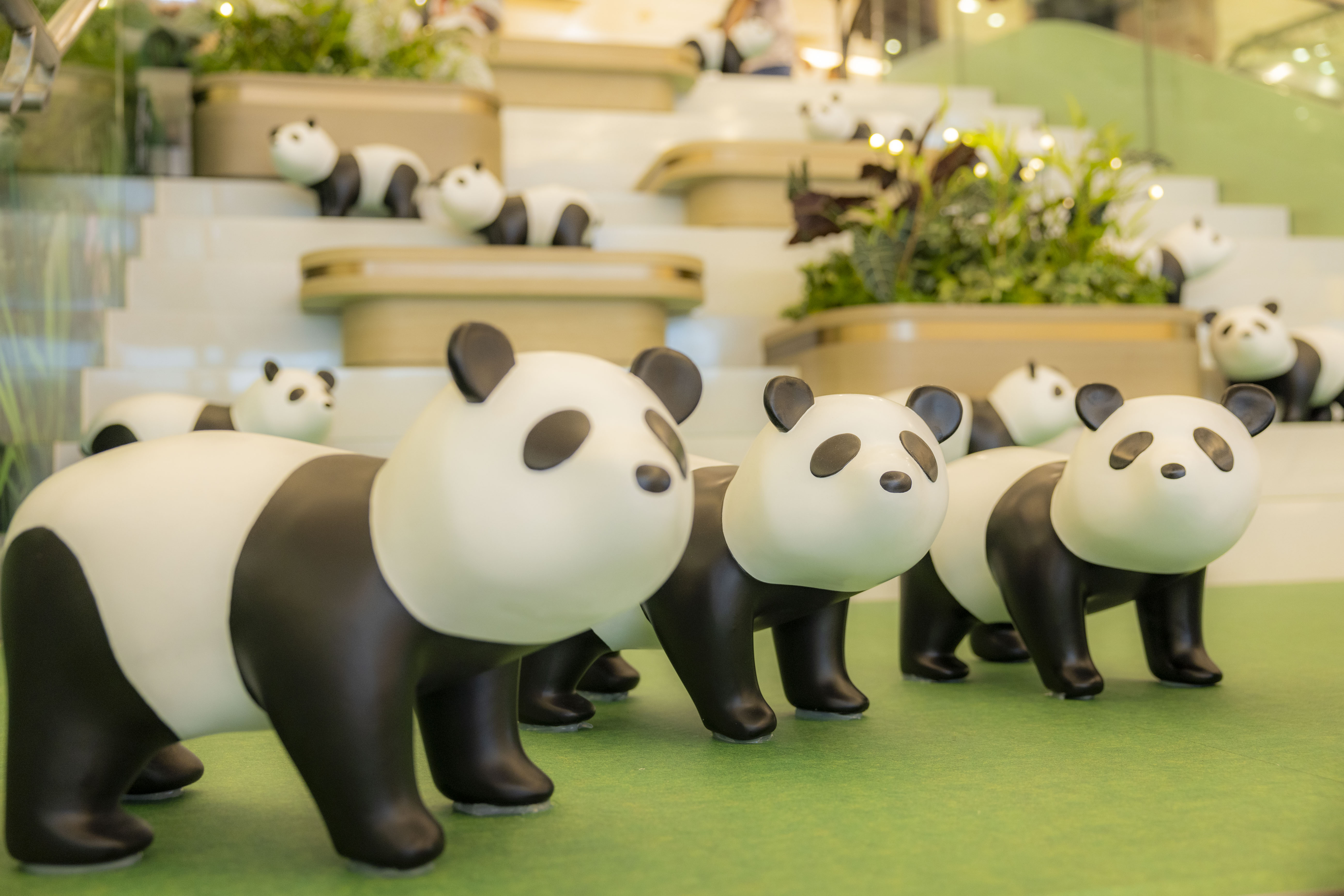 NTP_Chill Park_Chill級熊貓應援團  (5).JPG