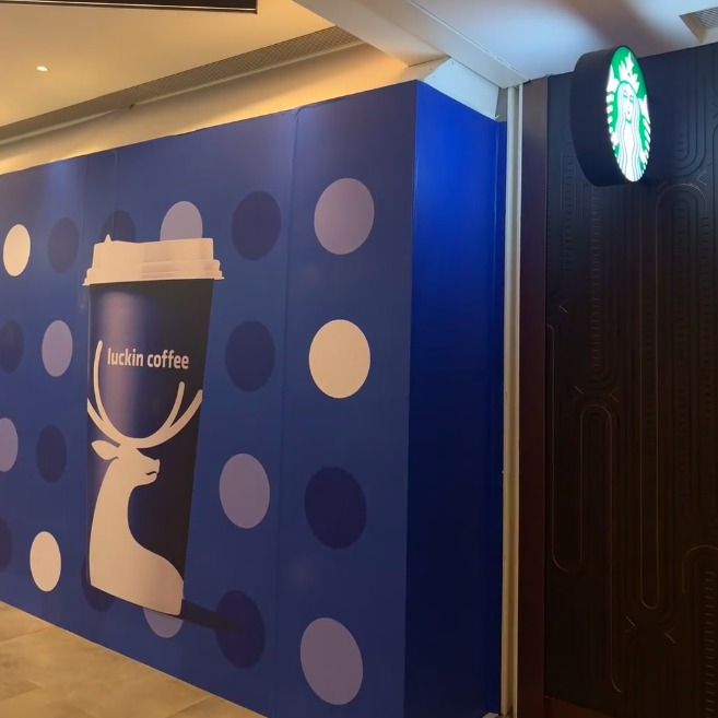 SDVSVSV.jpg SDVSVSV.jpg