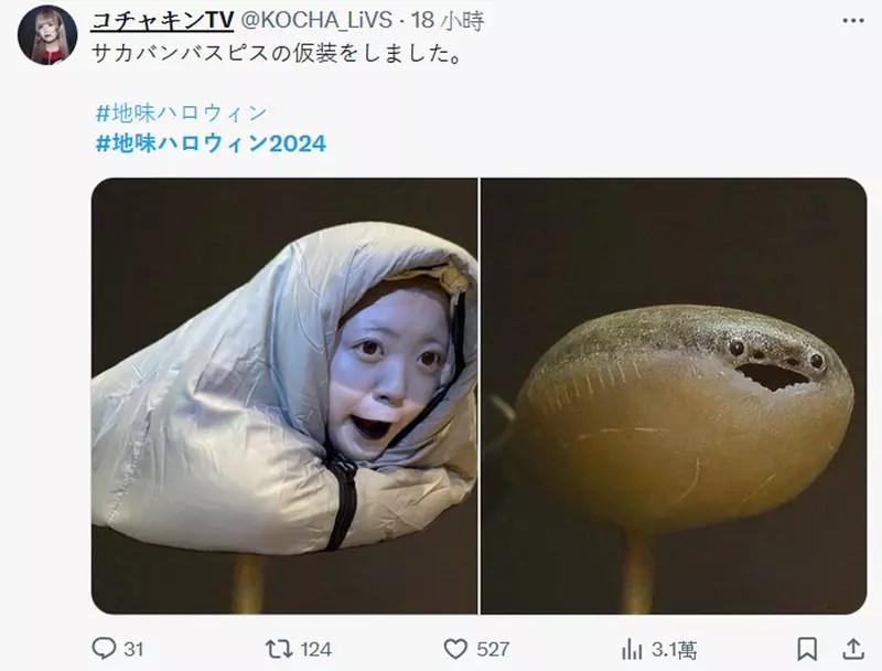 02.jpg 02.jpg