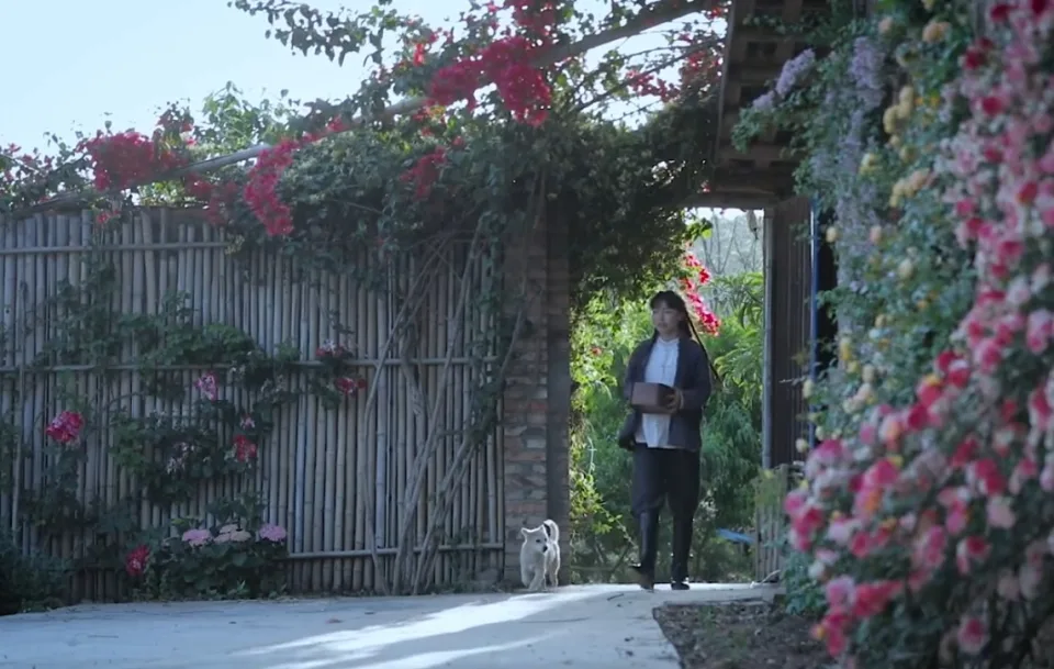 3824b2dae2a22223fc9f69434b060c63.jpg 3824b2dae2a22223fc9f69434b060c63.jpg