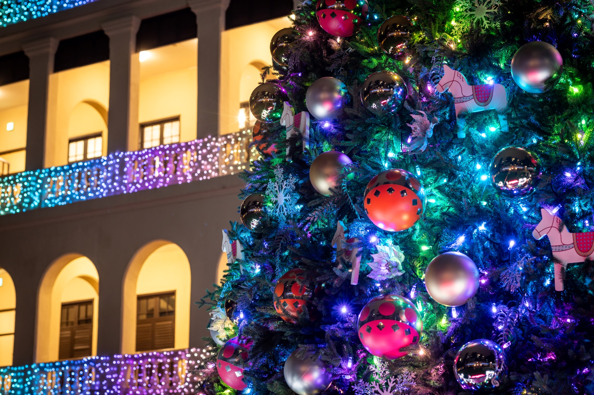 1a_12-metre-tall Christmas tree in 2023_4.jpg 1a_12-metre-tall Christmas tree in 2023_4.jpg