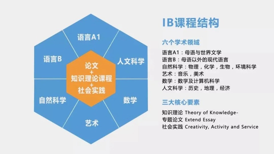 香港IB學校Top10最新榜單-學霸都在這幾家學校
