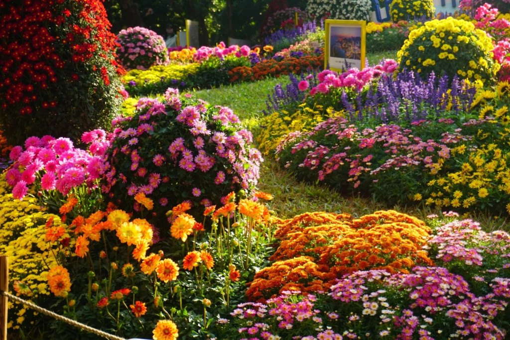 _4_____2.jpg _4_____2.jpg