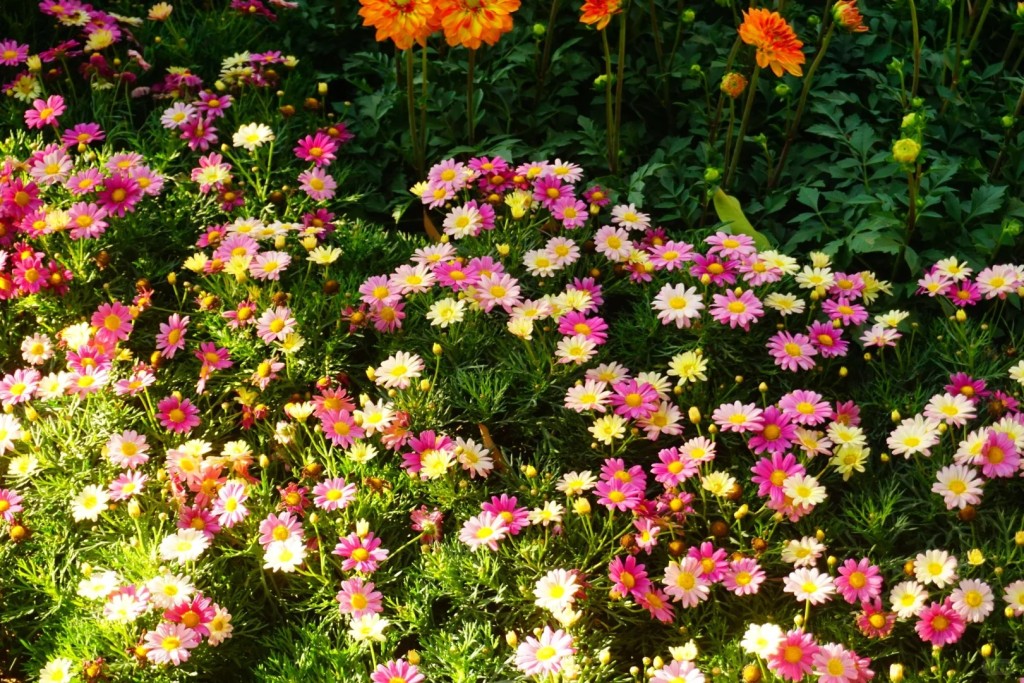 _6_____0.jpg _6_____0.jpg