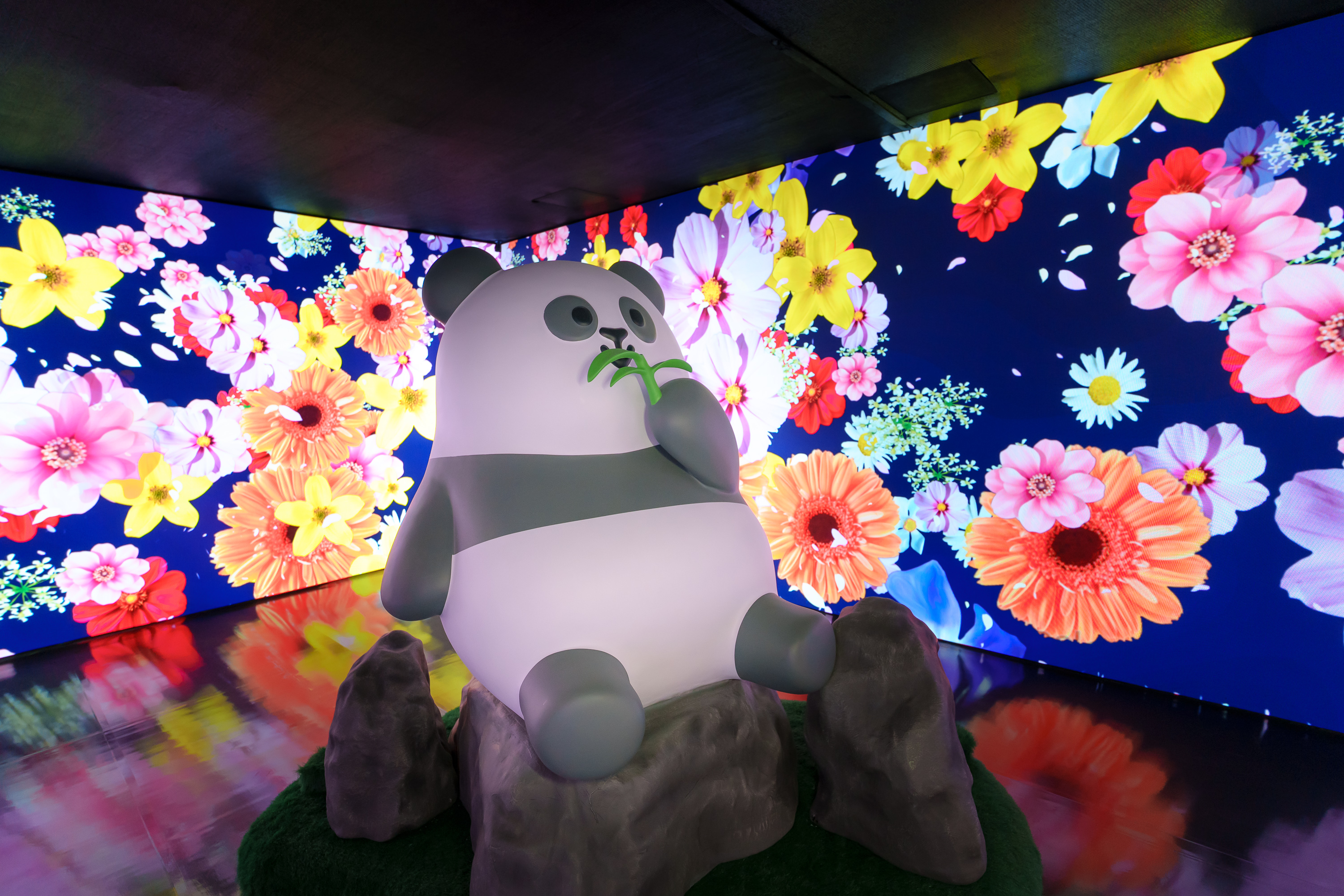 Blossom Flowerscape_1.jpg