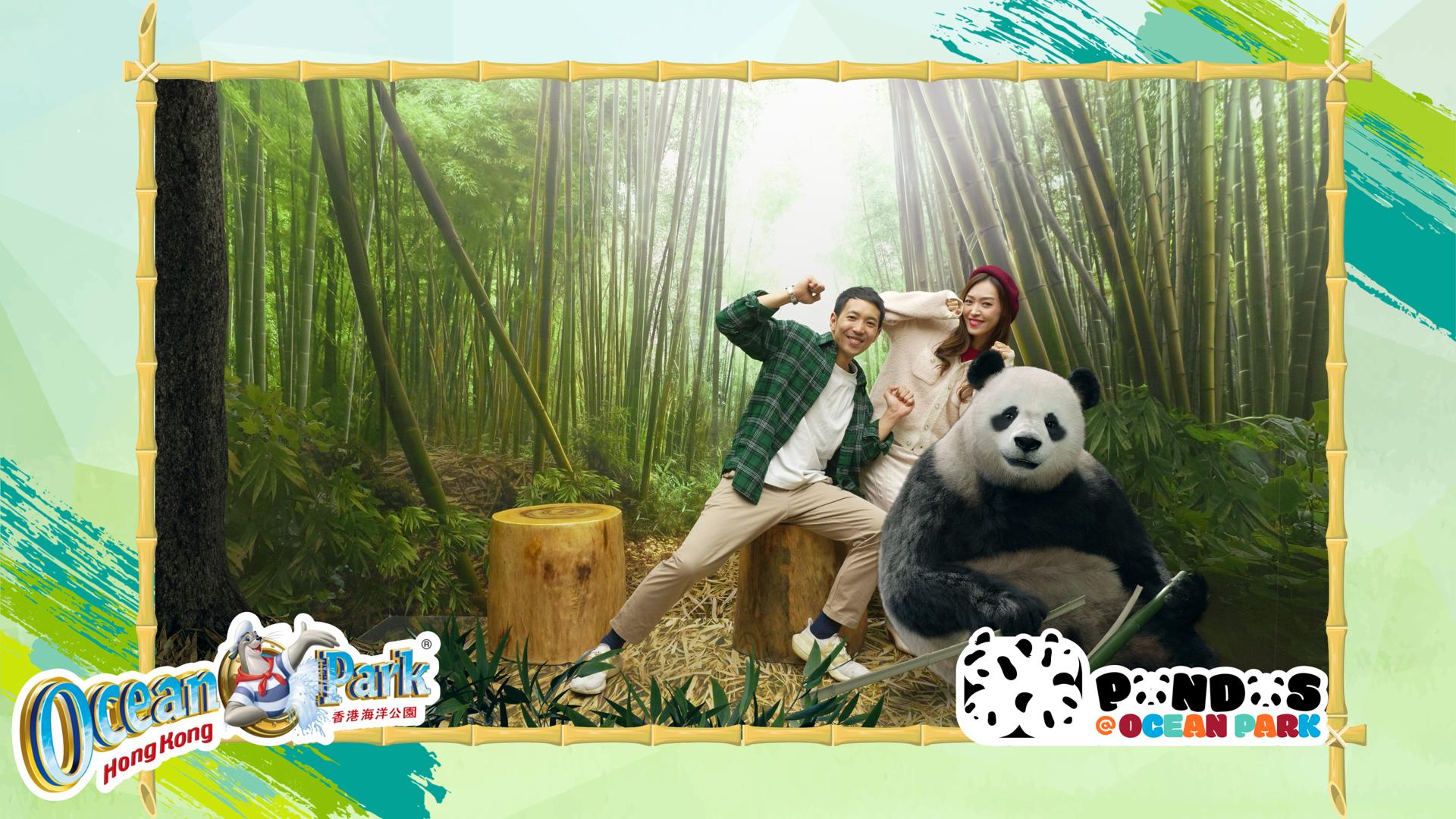 Panda FunSnap_3.JPG