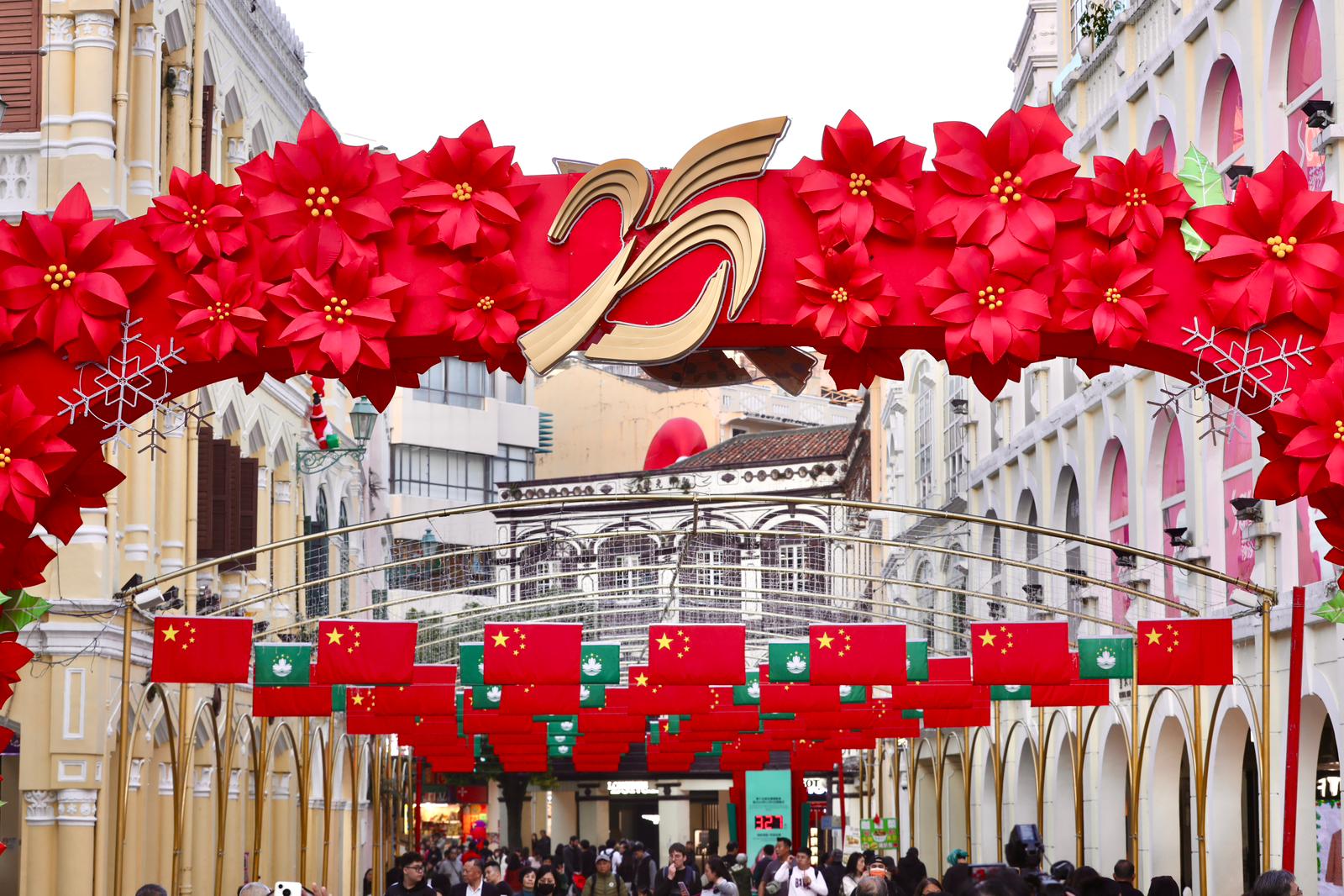 WhatsApp 图像2024-12-17于18.27.13_8f1f9498.jpg
