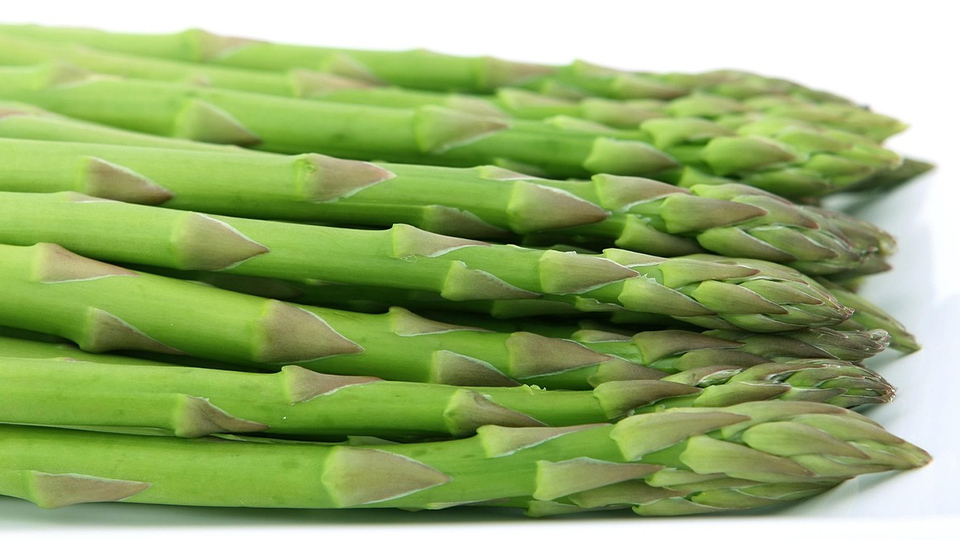 身心有營飲食法則-食物可否催情-情人節推介6種食材助感情升溫