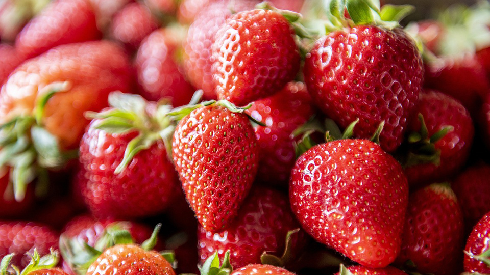 身心有營飲食法則-食物可否催情-情人節推介6種食材助感情升溫