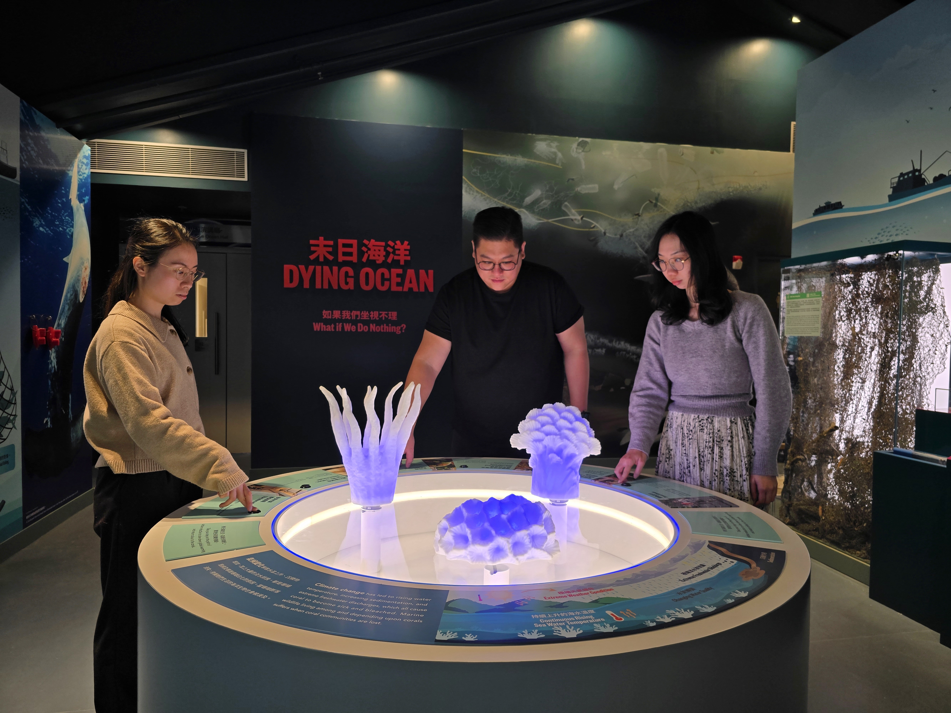 8. Coral Table  Climate change has led to rising water temperature, increasing sedimentation, and extreme freshwater discharges, which all cause coral to become sick and bleached. Marine wildlife living among and depending upon corals suffe.jpg