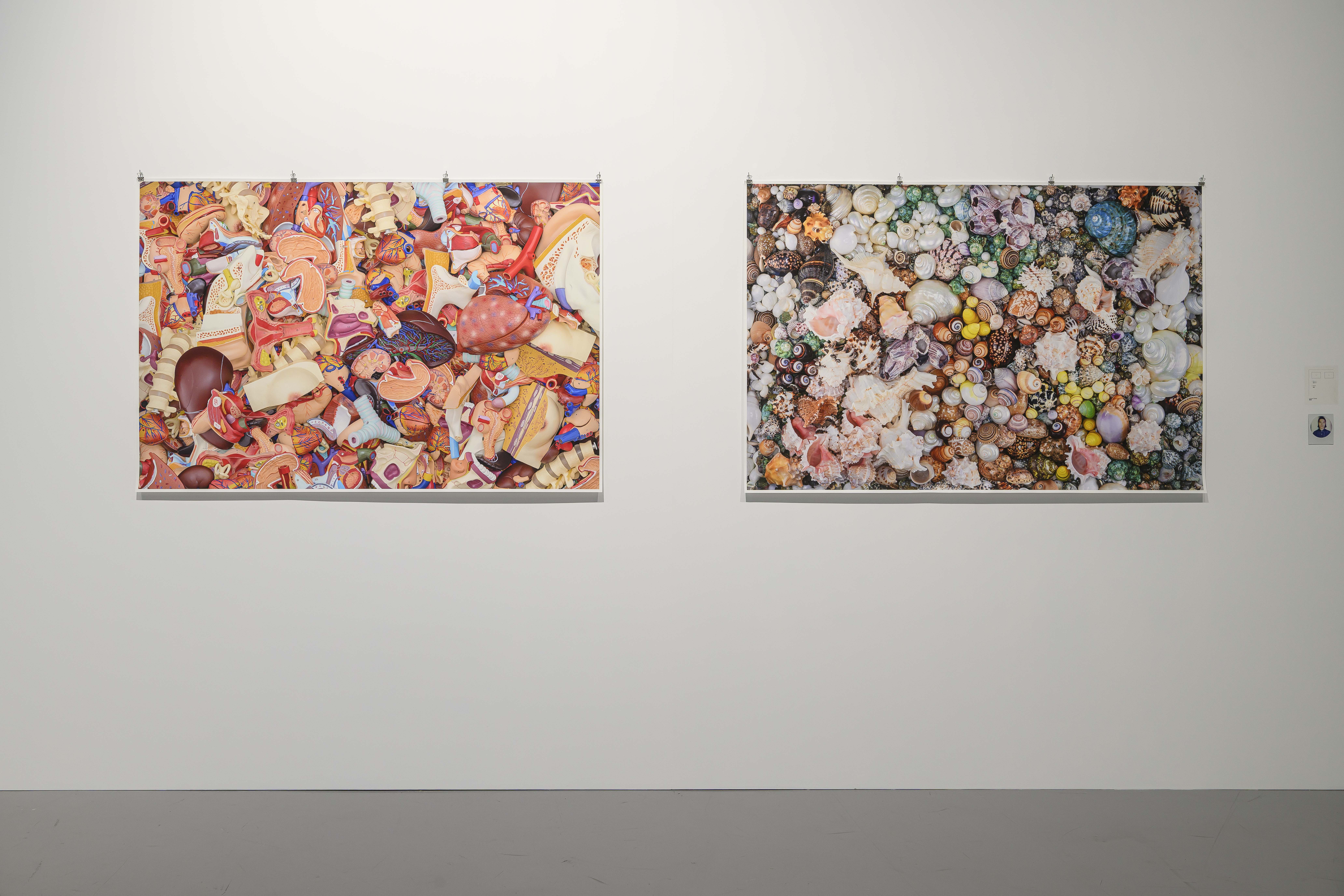 Exhibition view of One · Square · Water · Soil_(13).jpg