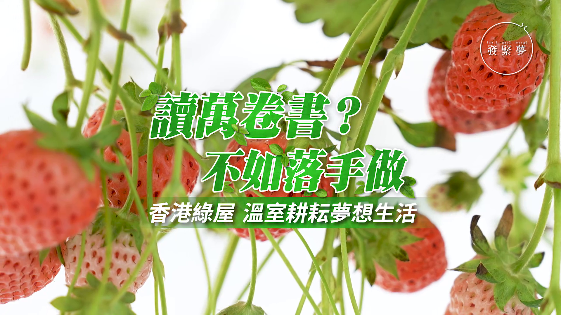 vlcsnap-2025-04-03-17h43m03s134.png