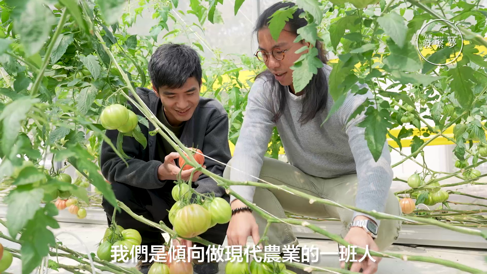 vlcsnap-2025-04-03-17h44m41s904.png