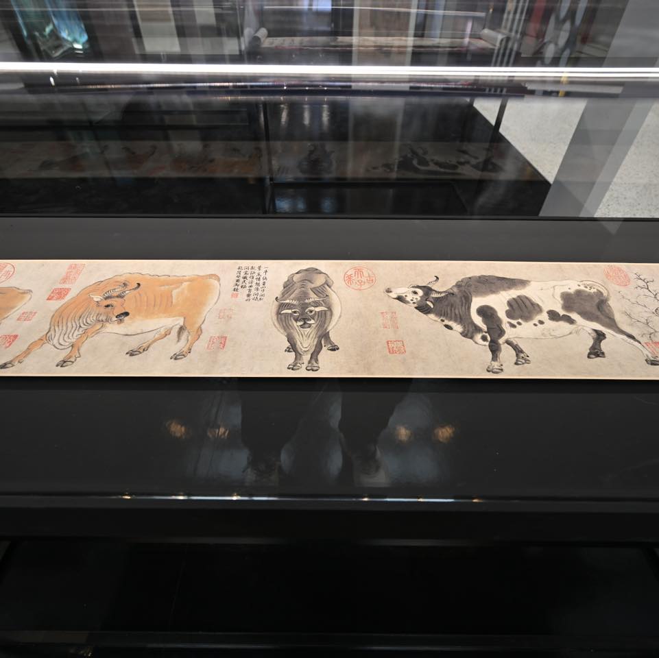 488249497_122214903992234663_5450728743951906530_n.jpg 488249497_122214903992234663_5450728743951906530_n.jpg