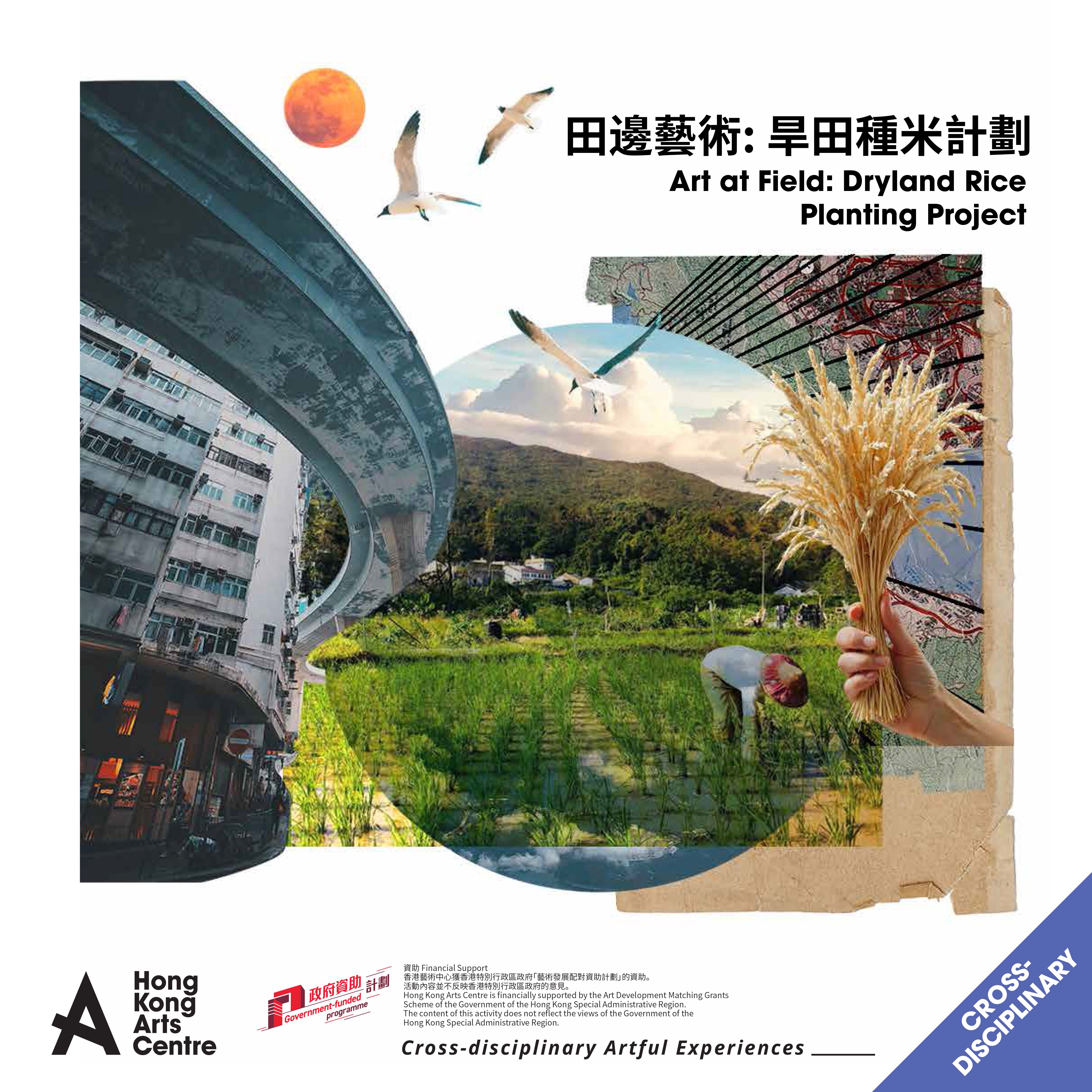 Art at Field_1080x1080 copy.jpg