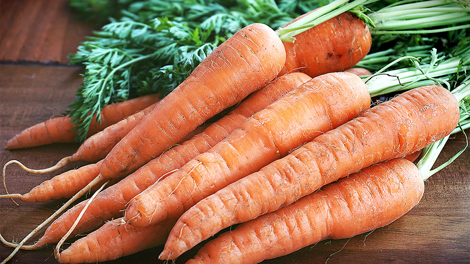 身心有營飲食法則-演唱會前靠藍莓補眼-狂吃過量增腎結石風險-推介4類護眼替代品