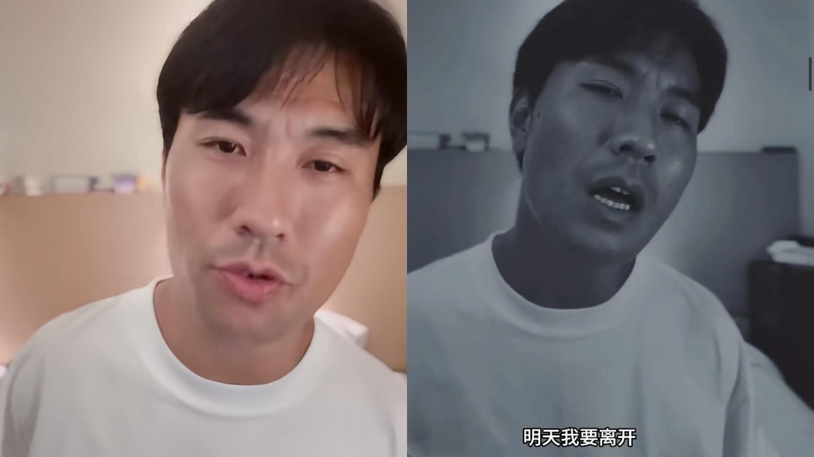 collage.jpg collage.jpg