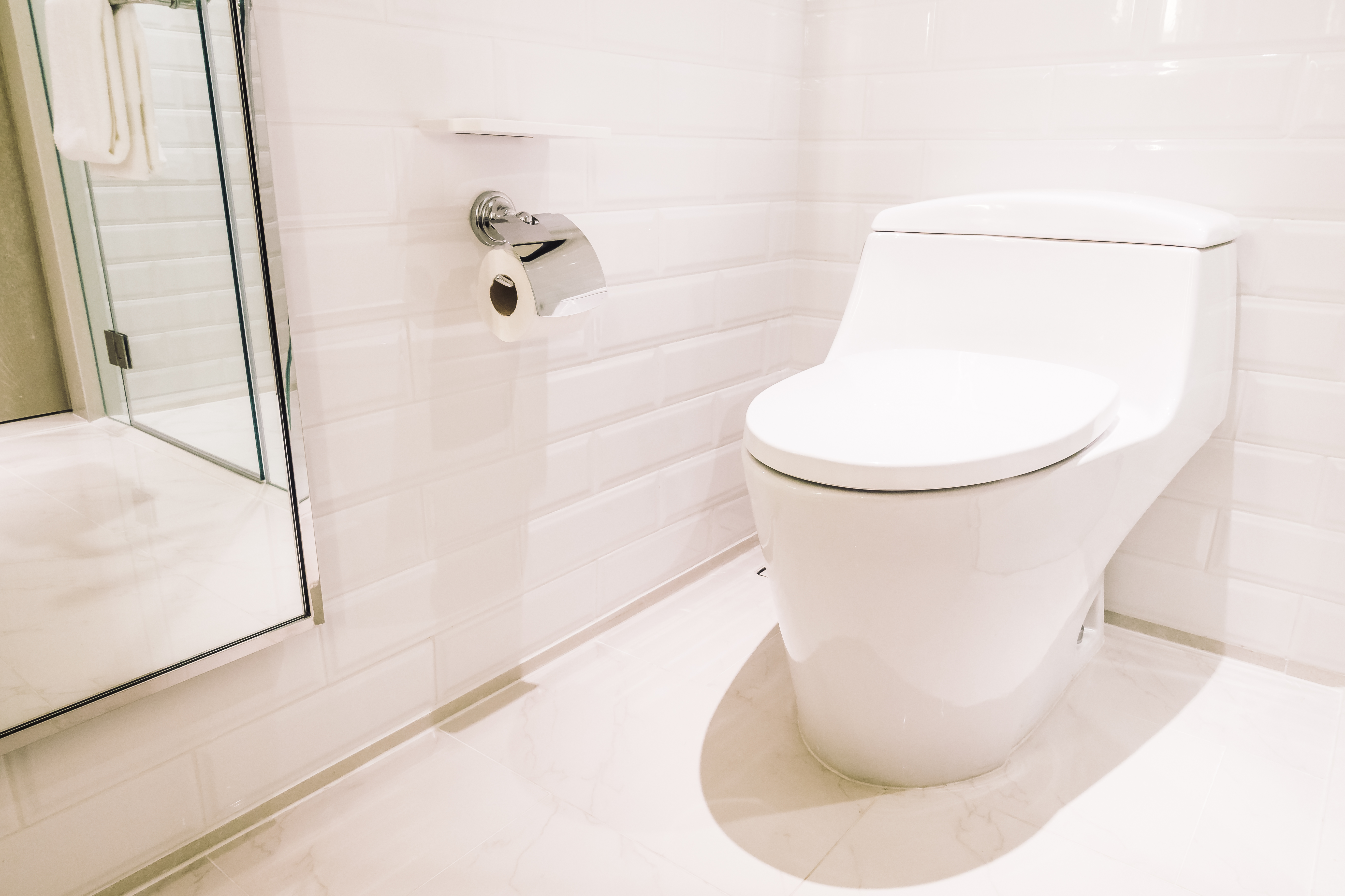 wc-sanitary-white-green-hygiene.jpg