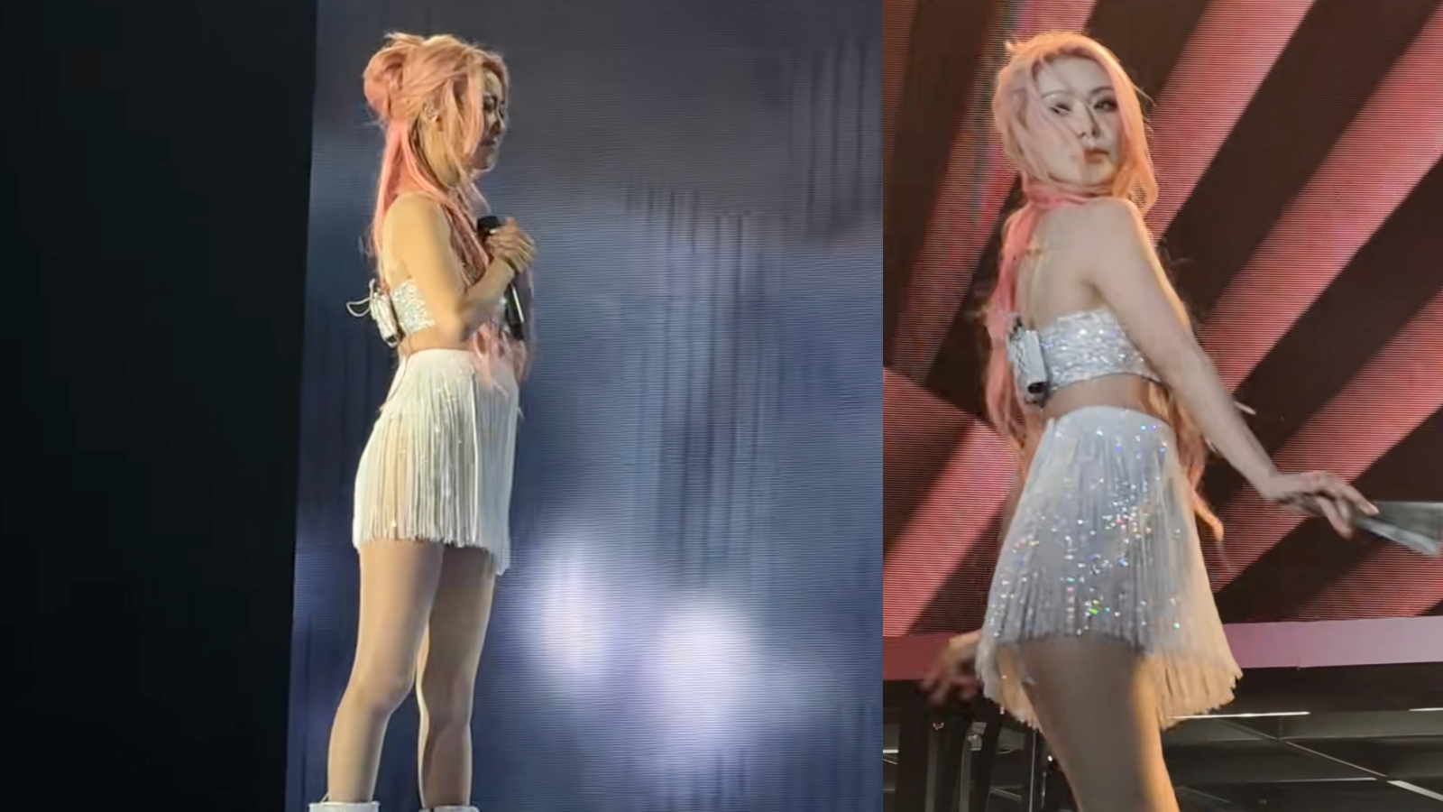 collage.jpg